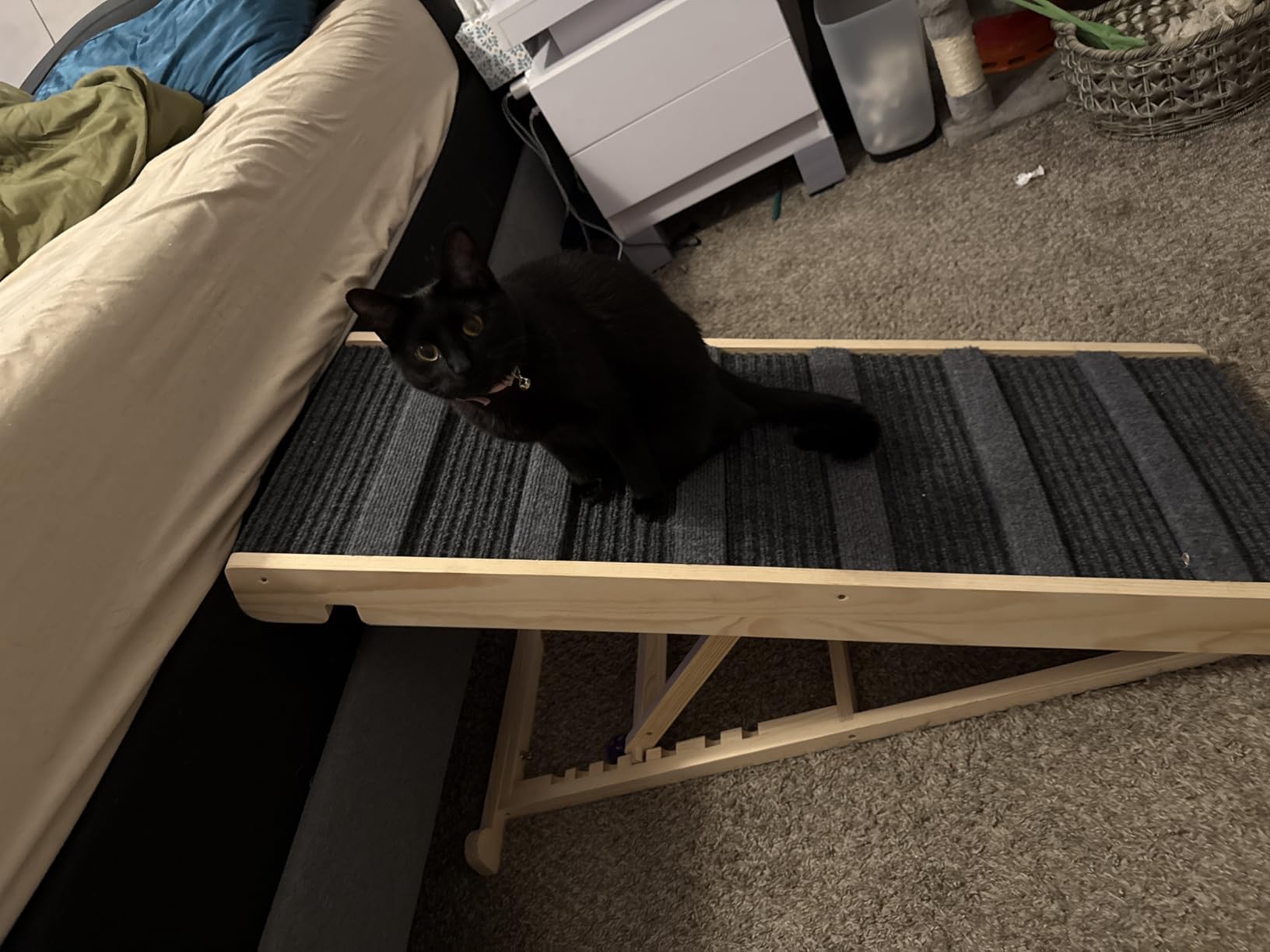 REONEY Dog Ramp, Portable Pet Ramp with 7 Adjustable Heights 11