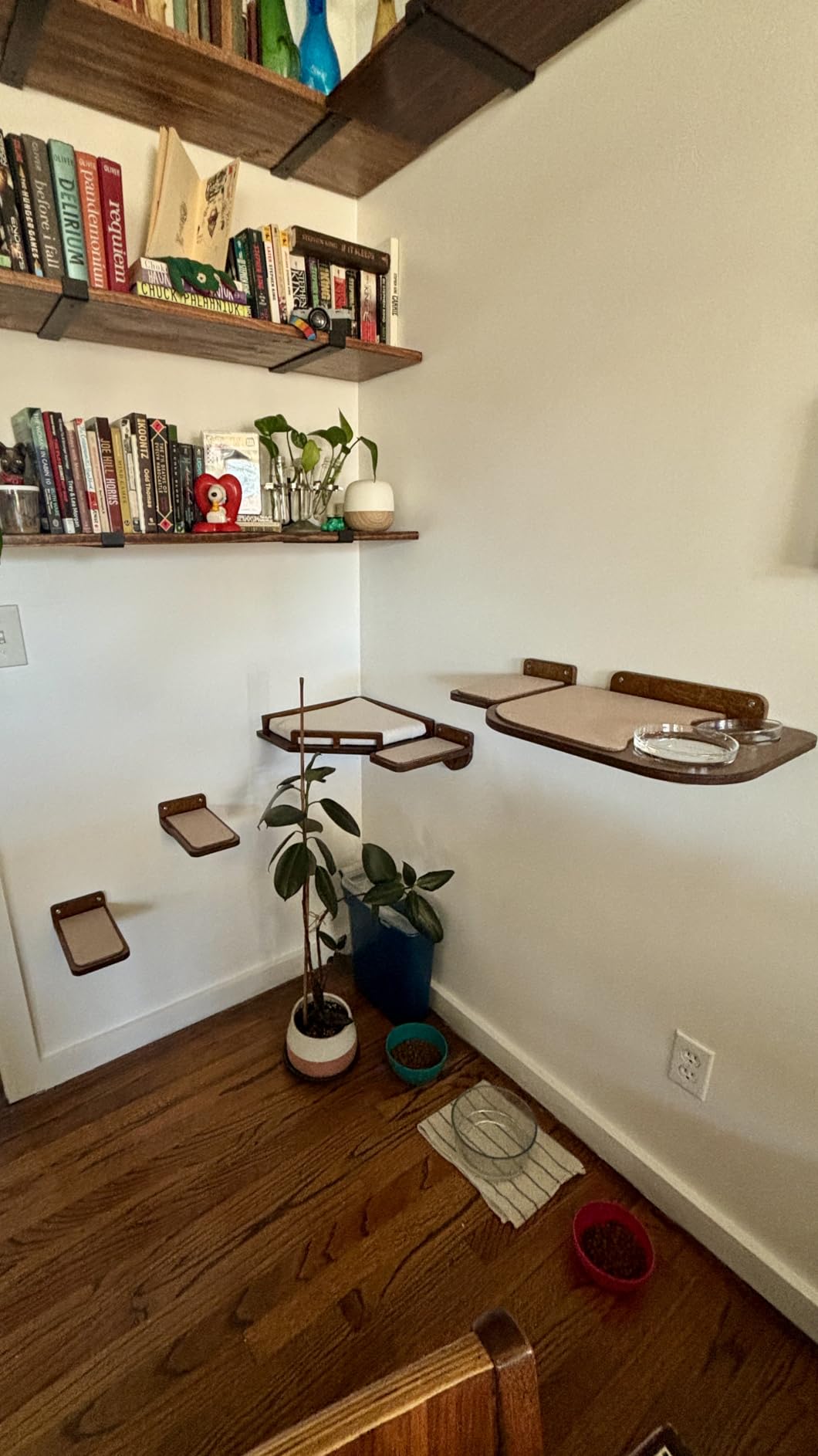 INICIO Cat Wall Shelves and Steps, 4-Piece Wooden Cat Wall Furniture Set customer photo 2