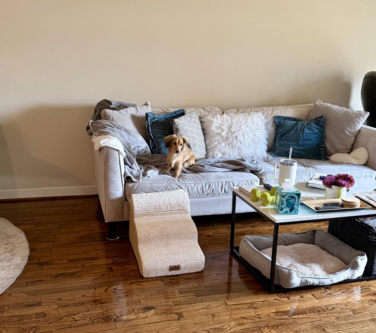 COZY KISS Dog Stair for Small Dog 15.7