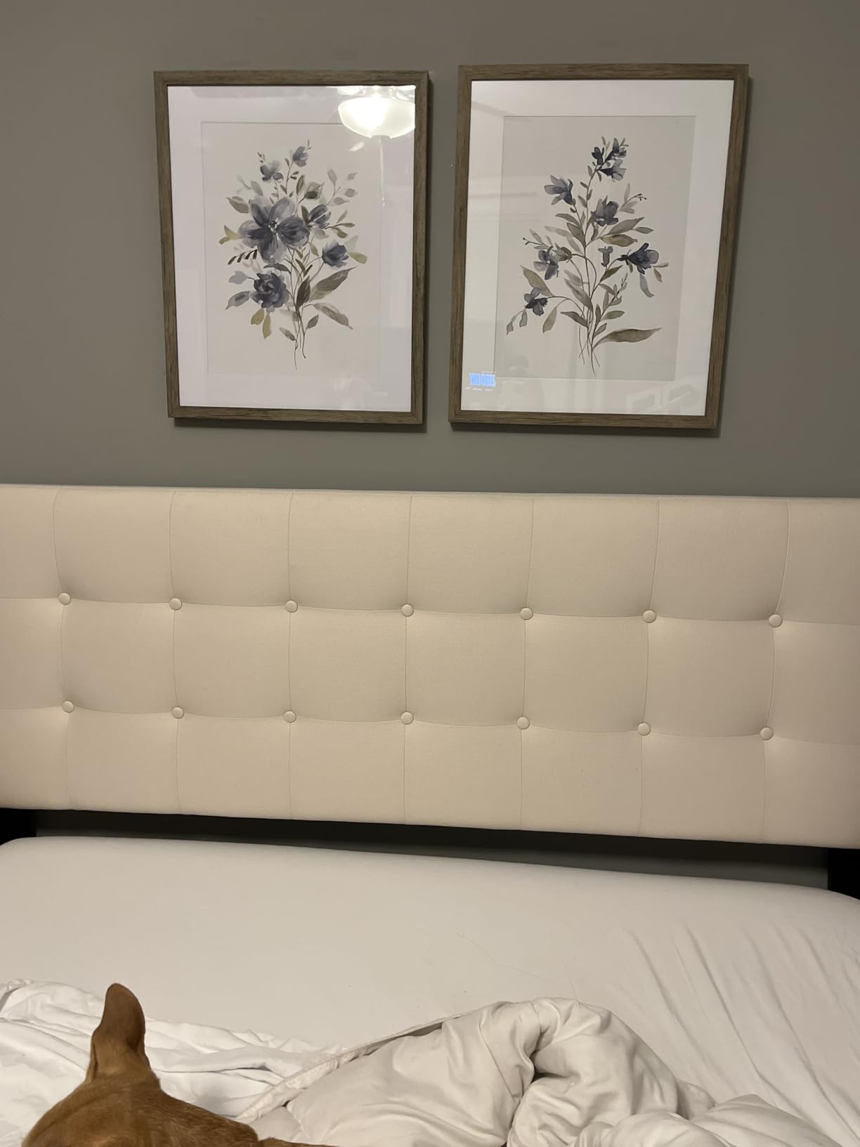 Zinus 12 Inch Queen Cooling Essential Memory Foam Mattress, Medium Feel customer photo 2