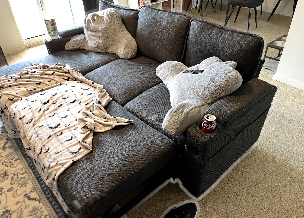 Sofa Bed Pull Out 2 in 1 Sectional Sleeper Sofa L Shaped Couch with Storage customer photo 1