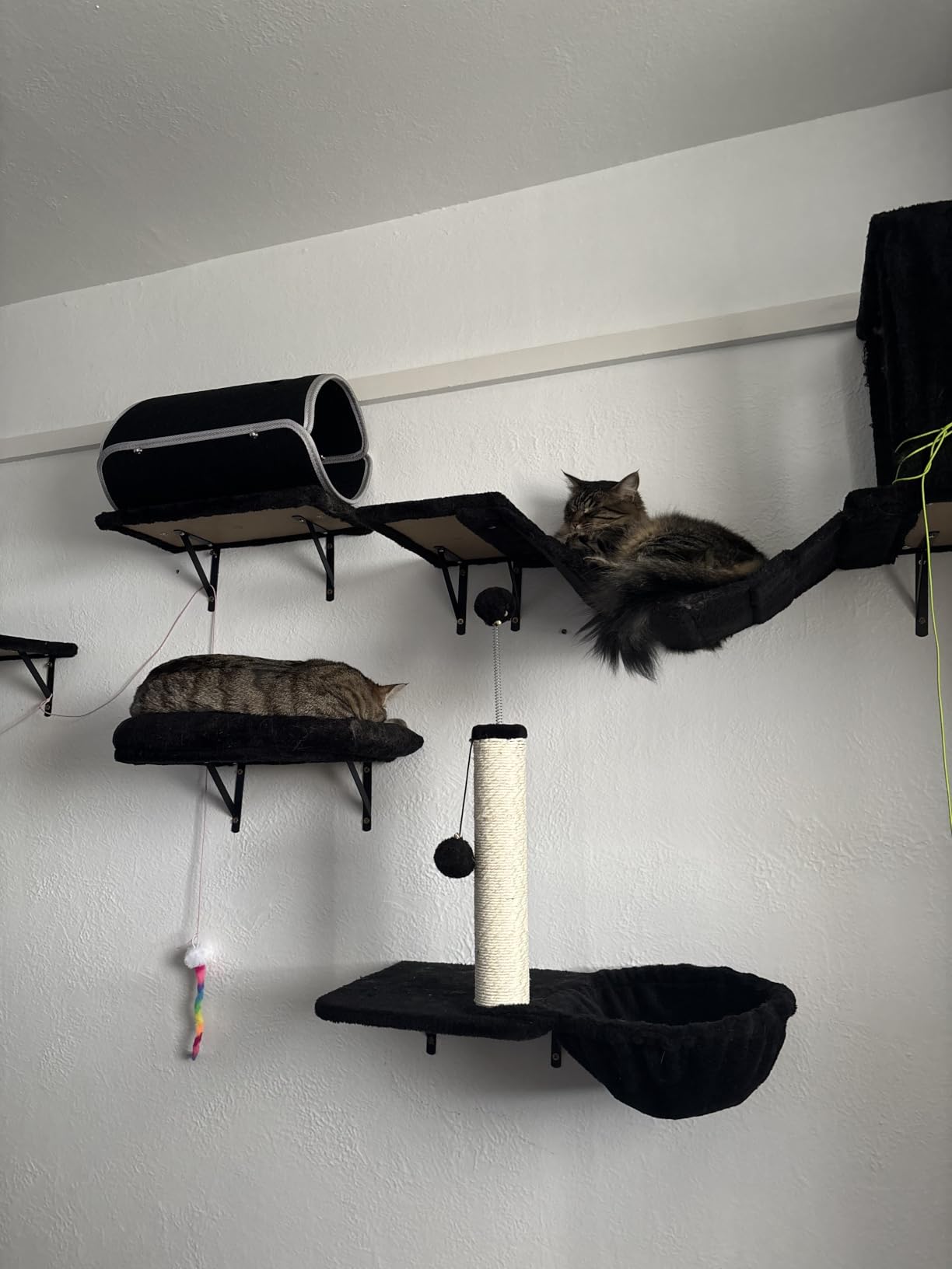 7-in-1 Cat Wall Shelves, Wall Mounted Climber Set customer photo 1
