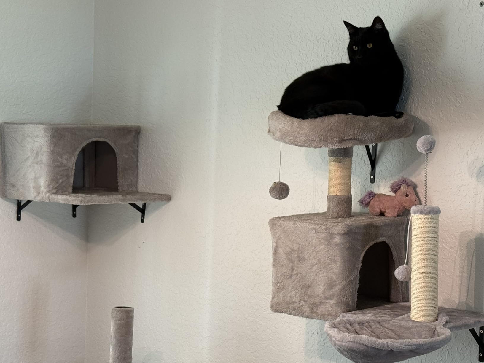 7-in-1 Cat Wall Shelves, Wall Mounted Climber Set customer photo 2