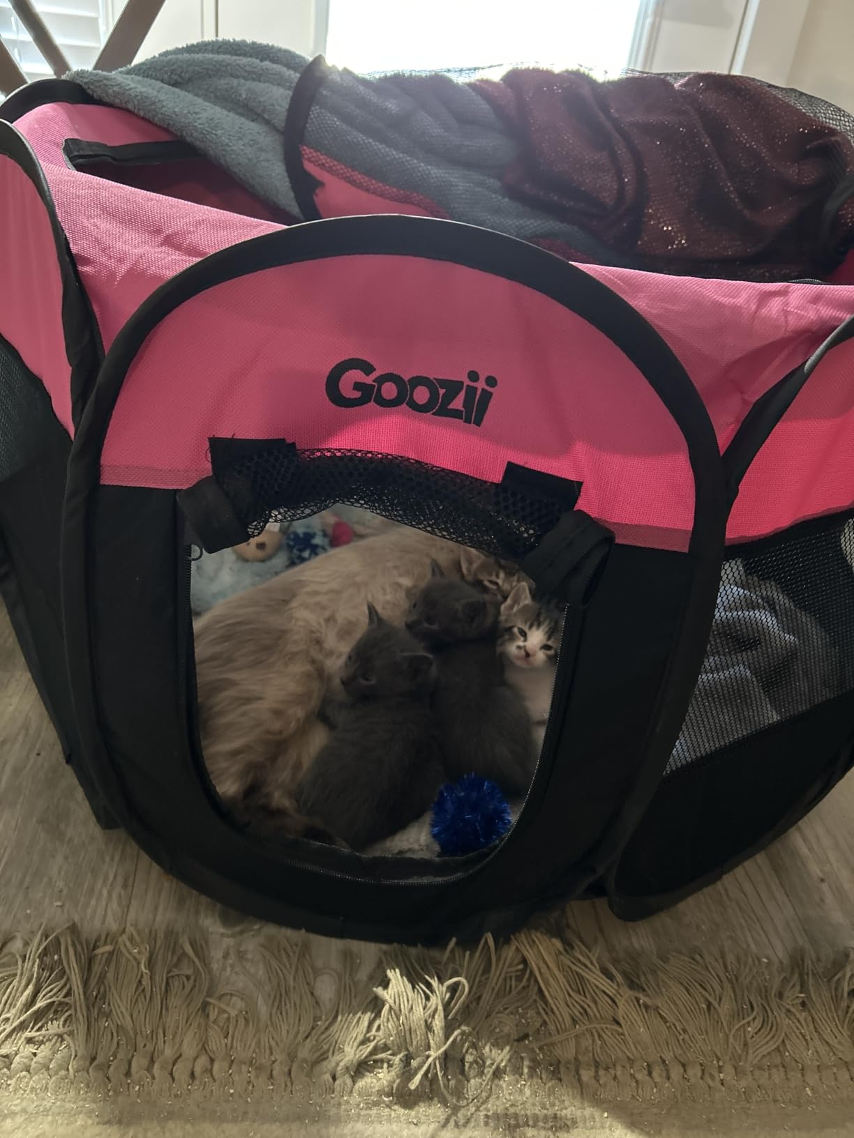 Goozii Portable Puppy Playpen Indoor, Small Dog Playpen, Pop Up Kitten Cat Play Pen Tent for Outdoor, Foldable Pet Cage Crate Kennel with Zip Gate Top Cover Bottom for Travel Camping RV Car (Black) customer photo 1