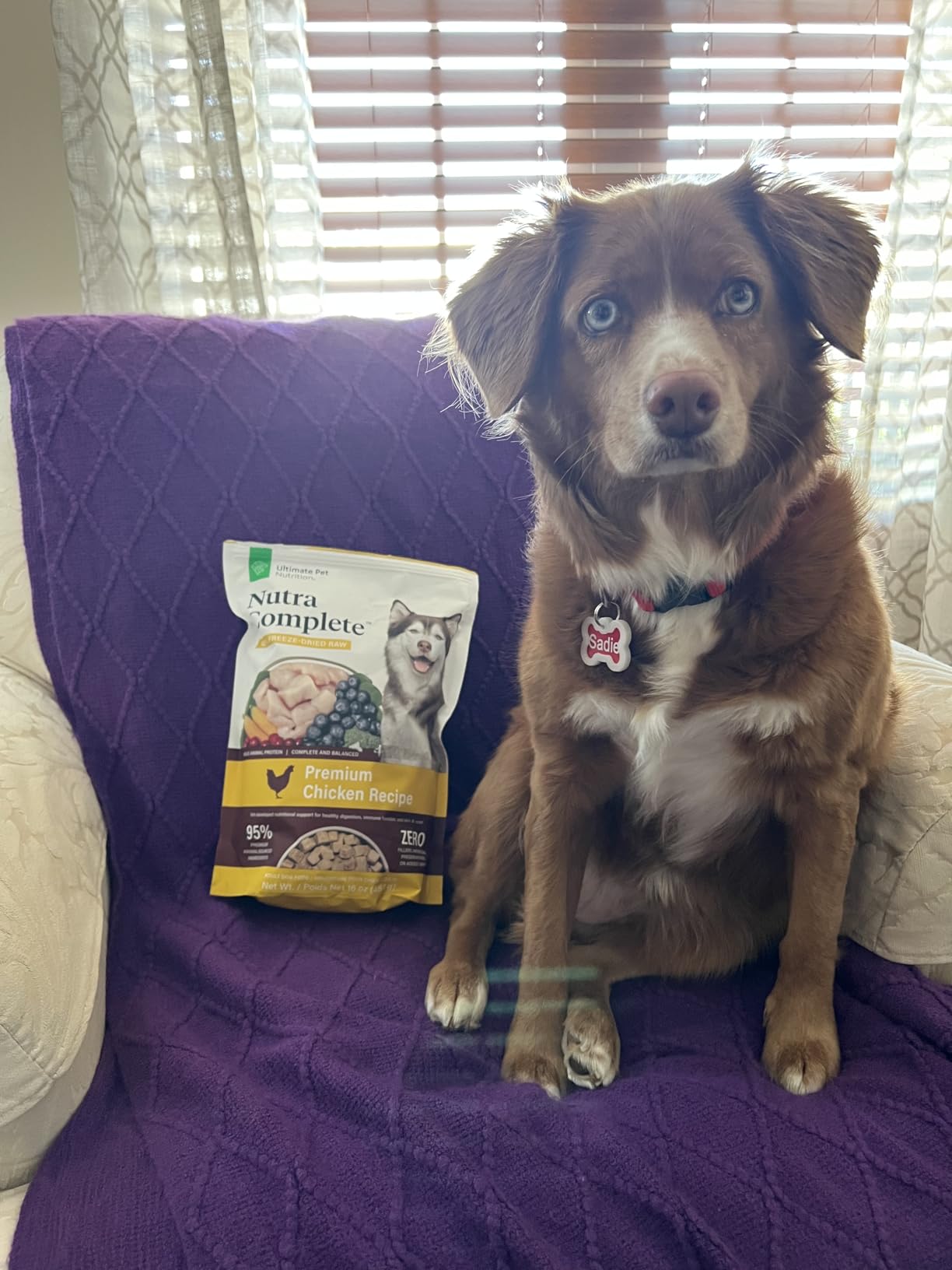 ULTIMATE PET NUTRITION Nutra Complete Freeze-Dried Dog Food, Chicken 1lb customer photo 2