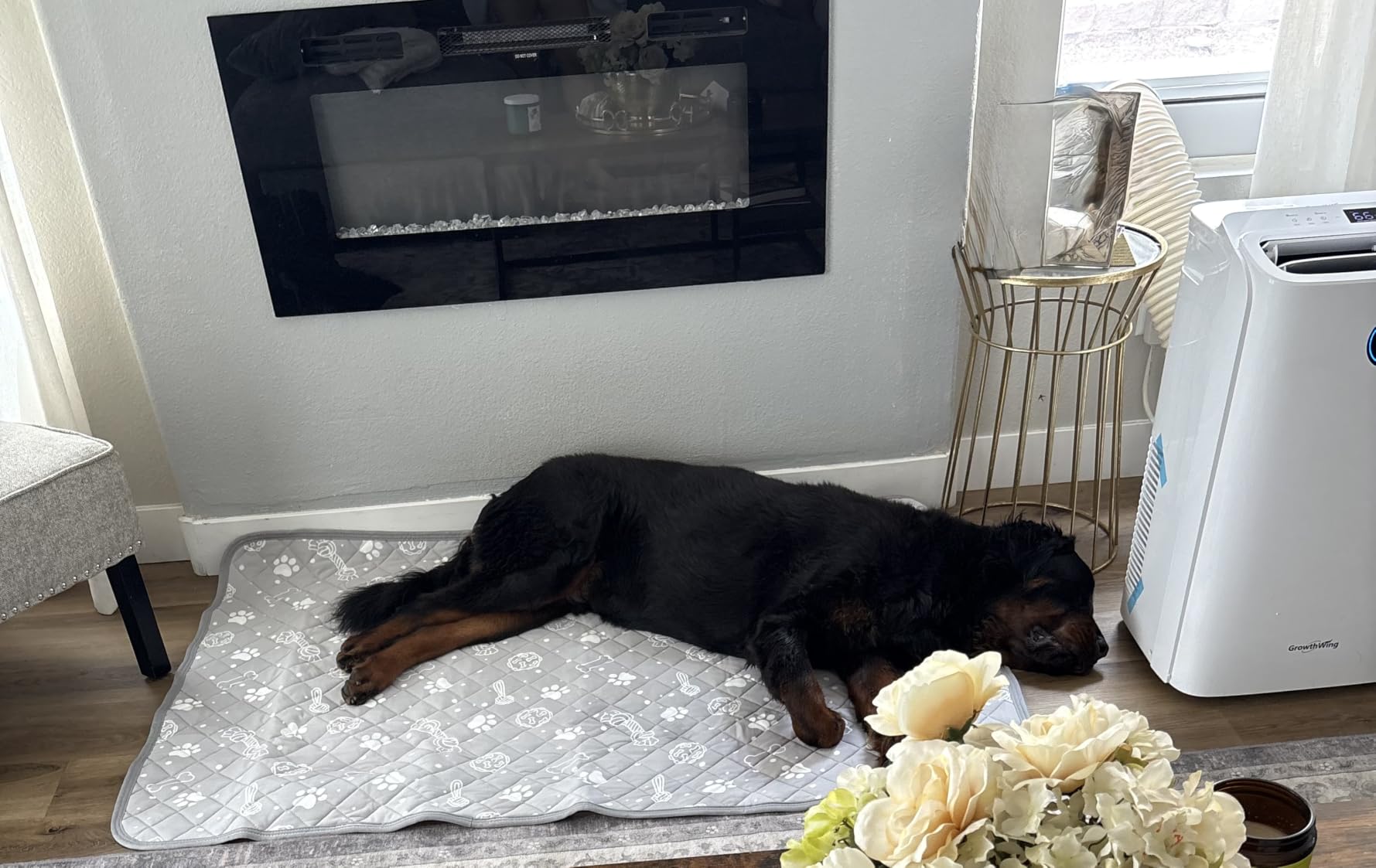 Self Dog Cooling Mat 39”x 59”,Color-Changing,Foldable and Washable,Grey customer photo 2