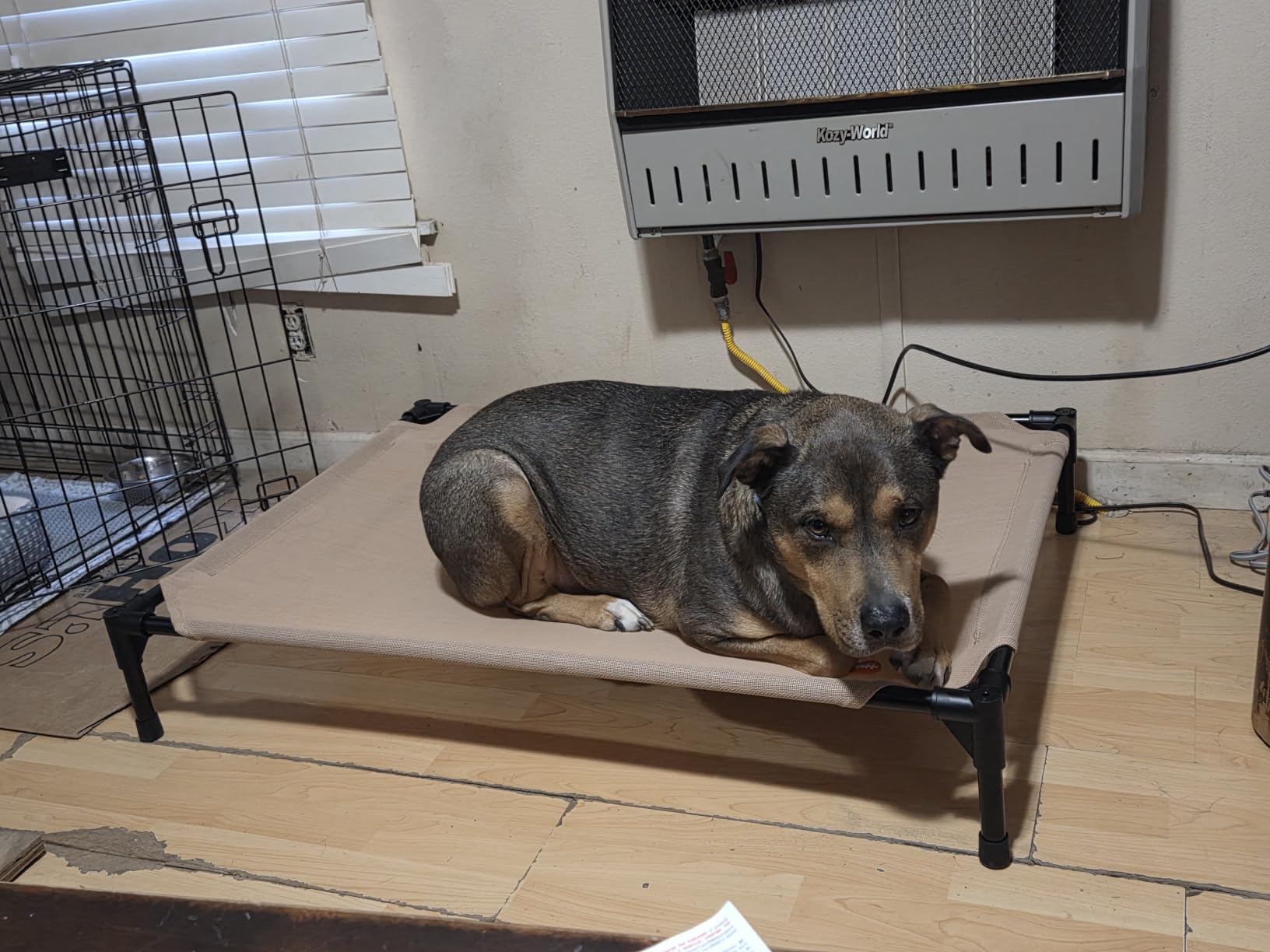 K&H Outdoor Elevated Dog Bed, Cooling Raised Dog Bed, Jumbo 56x38in, Tan customer photo 1