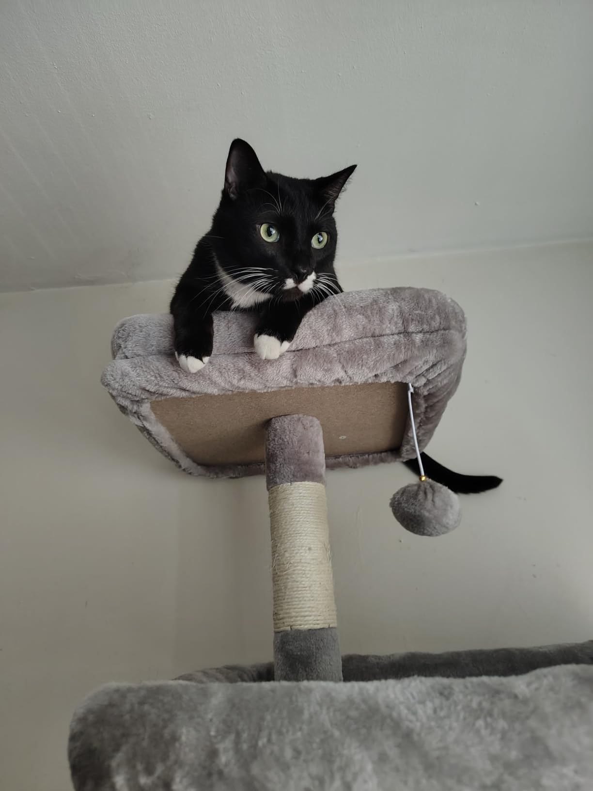 Globlazer Giant Cat Tree for Indoor Large Cats, 83in, F83, Dark Grey customer photo 2