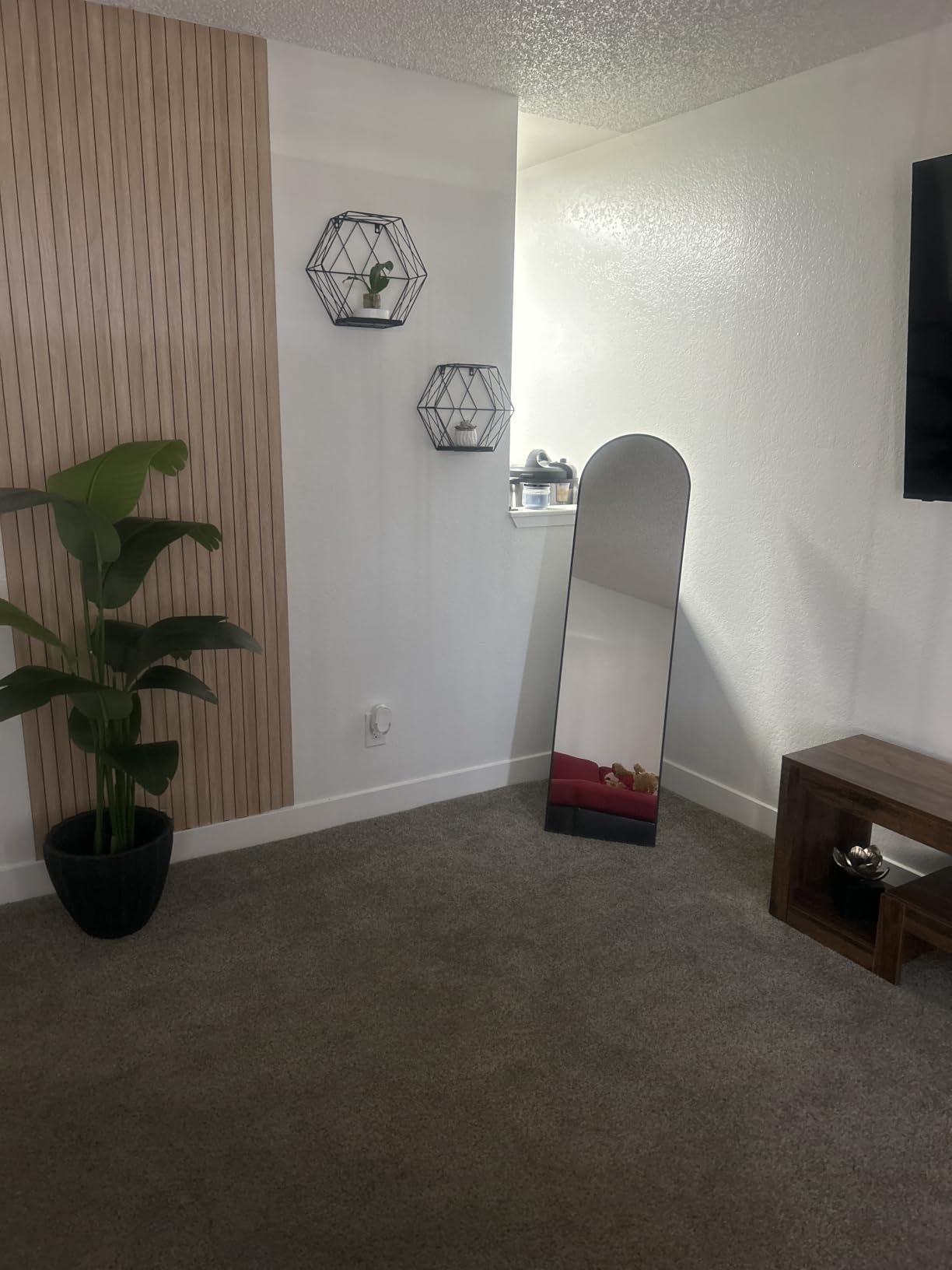 Delma Arched Full Length Mirror with Stand, Black Floor Mirror customer photo 1