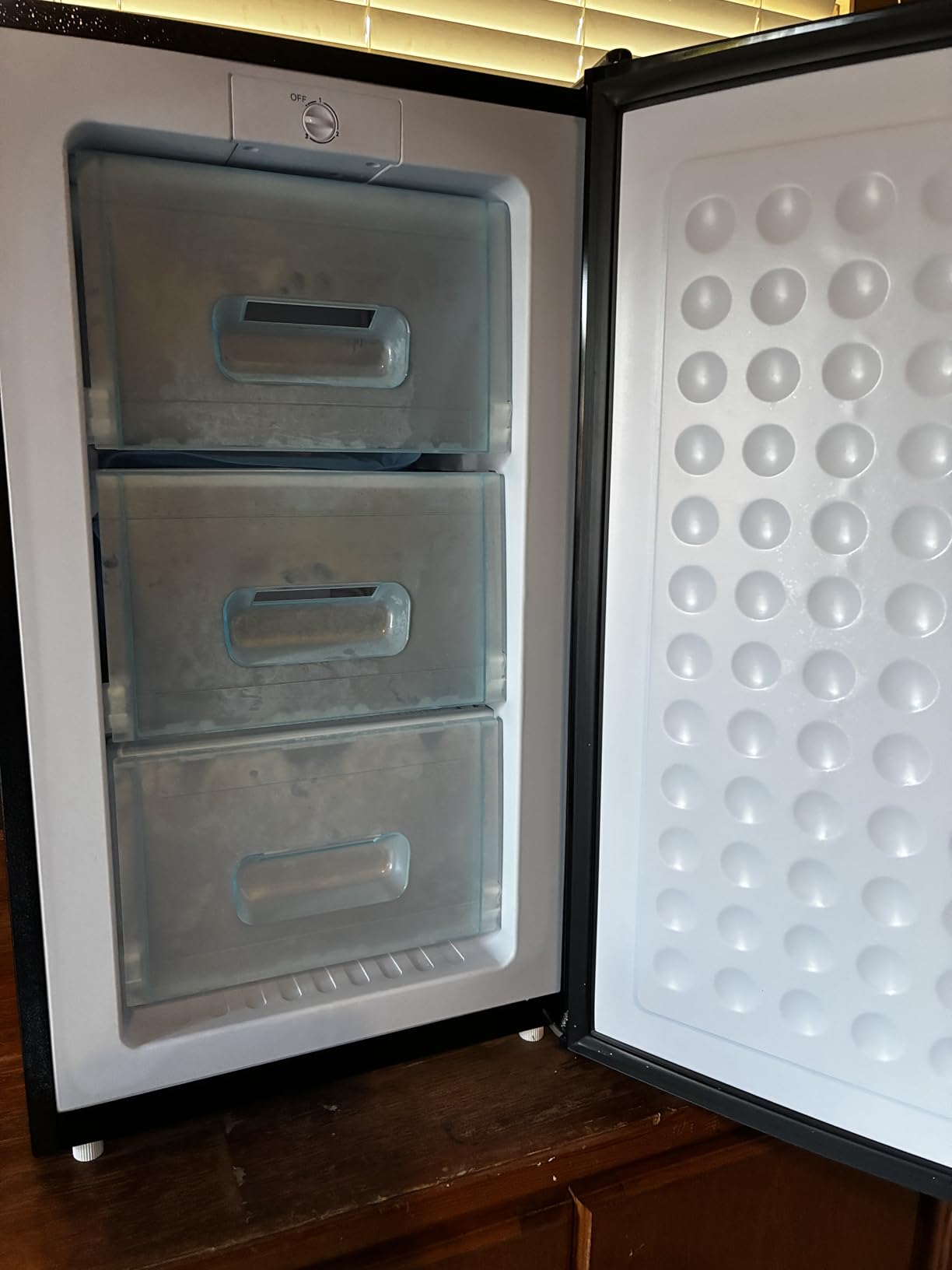 Maine 3.6 Cu. Ft. Small Upright Freezer, Compact Mini Freezer, Silver customer photo 2