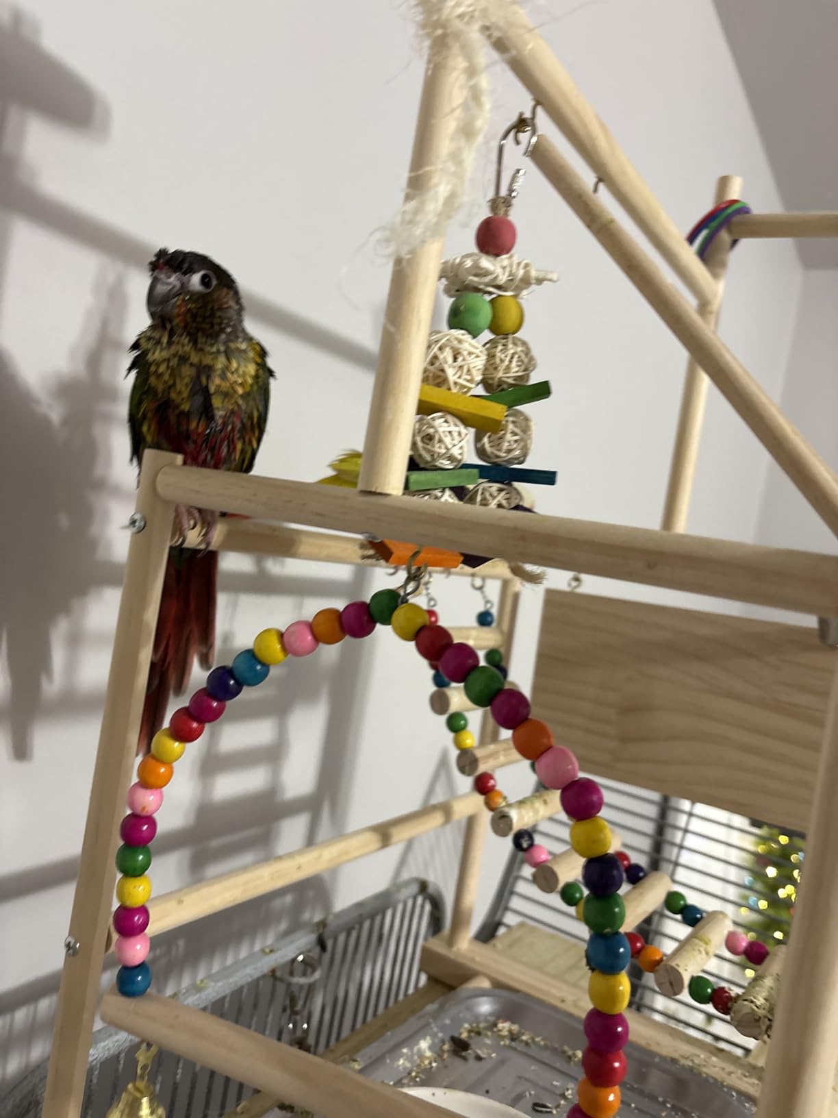 5 Layers Large Bird Playstand with Wheel, Natural Wood Parrot Playground, Parakeet Perch Stand Small Bird Playgym with Ladder Toy Accessories for Cockatiel Cockatoo Finch Budgie Lovebird customer photo 2