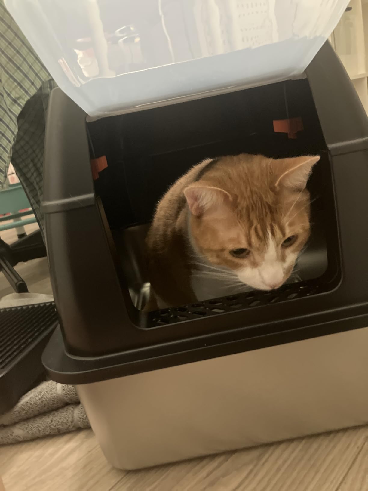 Lobeve Extra Large Stainless Steel Litter Box with Lid, Easy-Clean Pan customer photo 1