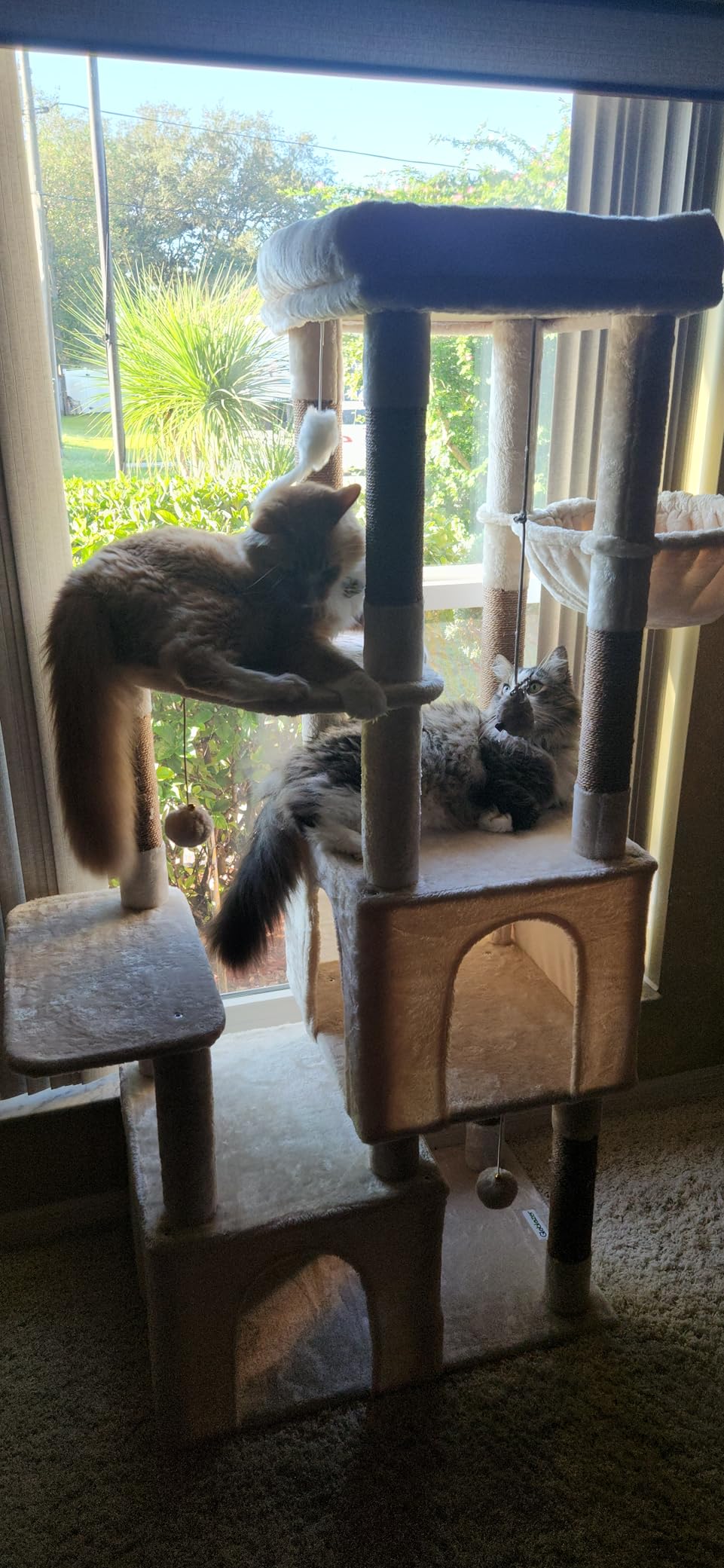 Globlazer Heavy Duty Cat Trees for Big Cats Maine Coon, F61, Light Grey customer photo 1