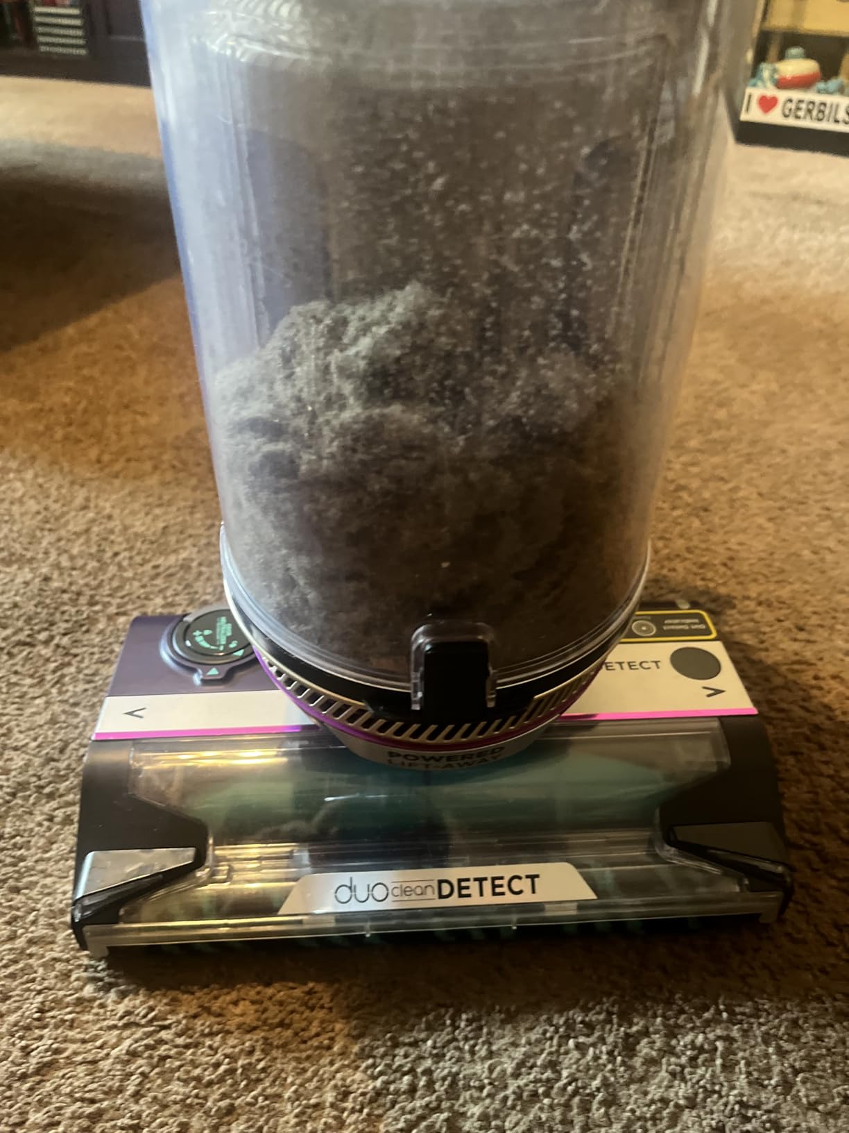 Shark PowerDetect Upright Vacuum, HEPA, Powered Lift-Away, AZ4002 customer photo 1