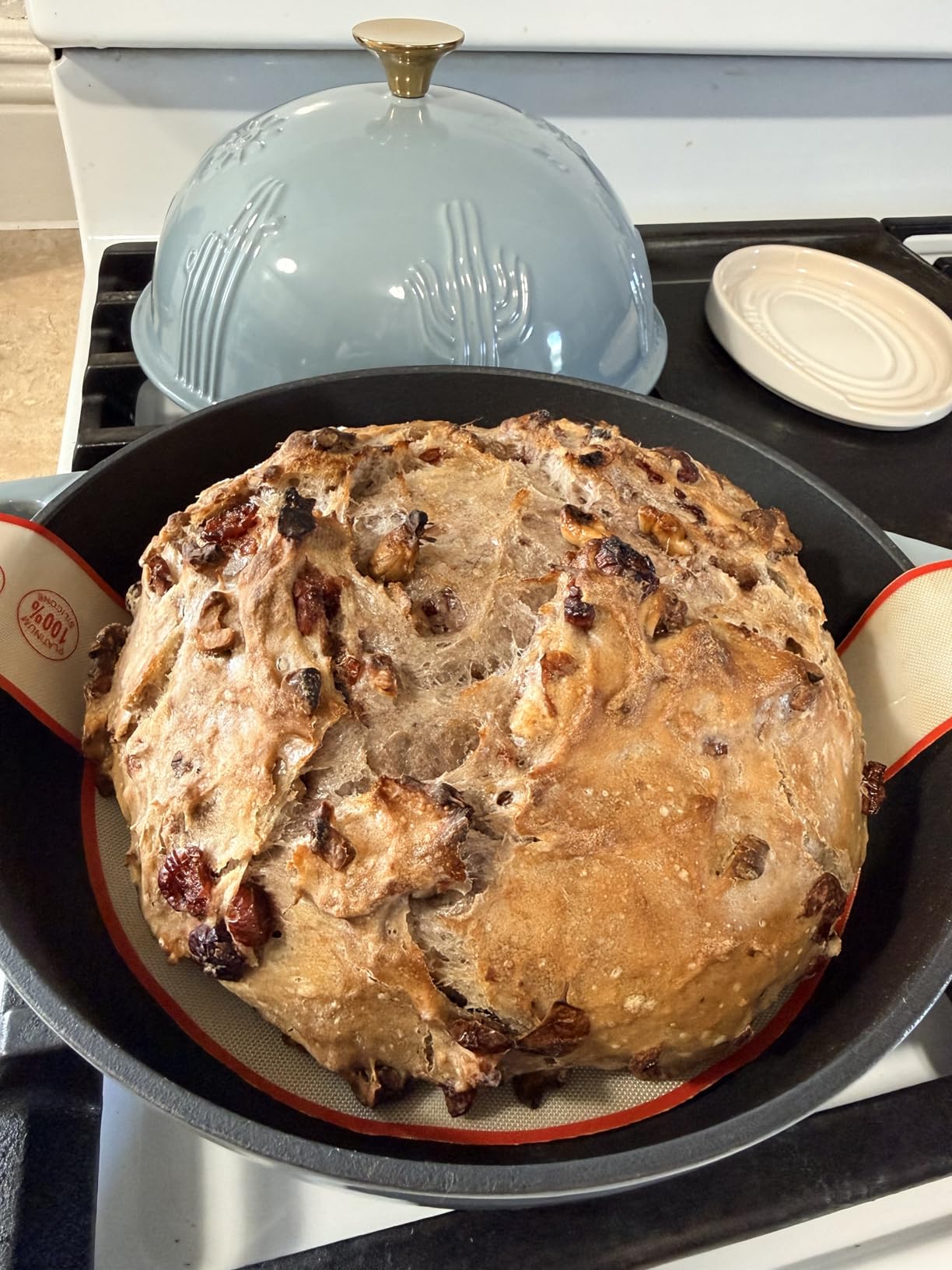 Flavehc Bread Oven Cast Iron Bread Dutch Oven with Cloche Lid for Bread Baking Darkcyan Enameled Cast Iron Bread Oven with Dome Lid for Sourdough, 9.8 Inches customer photo 1