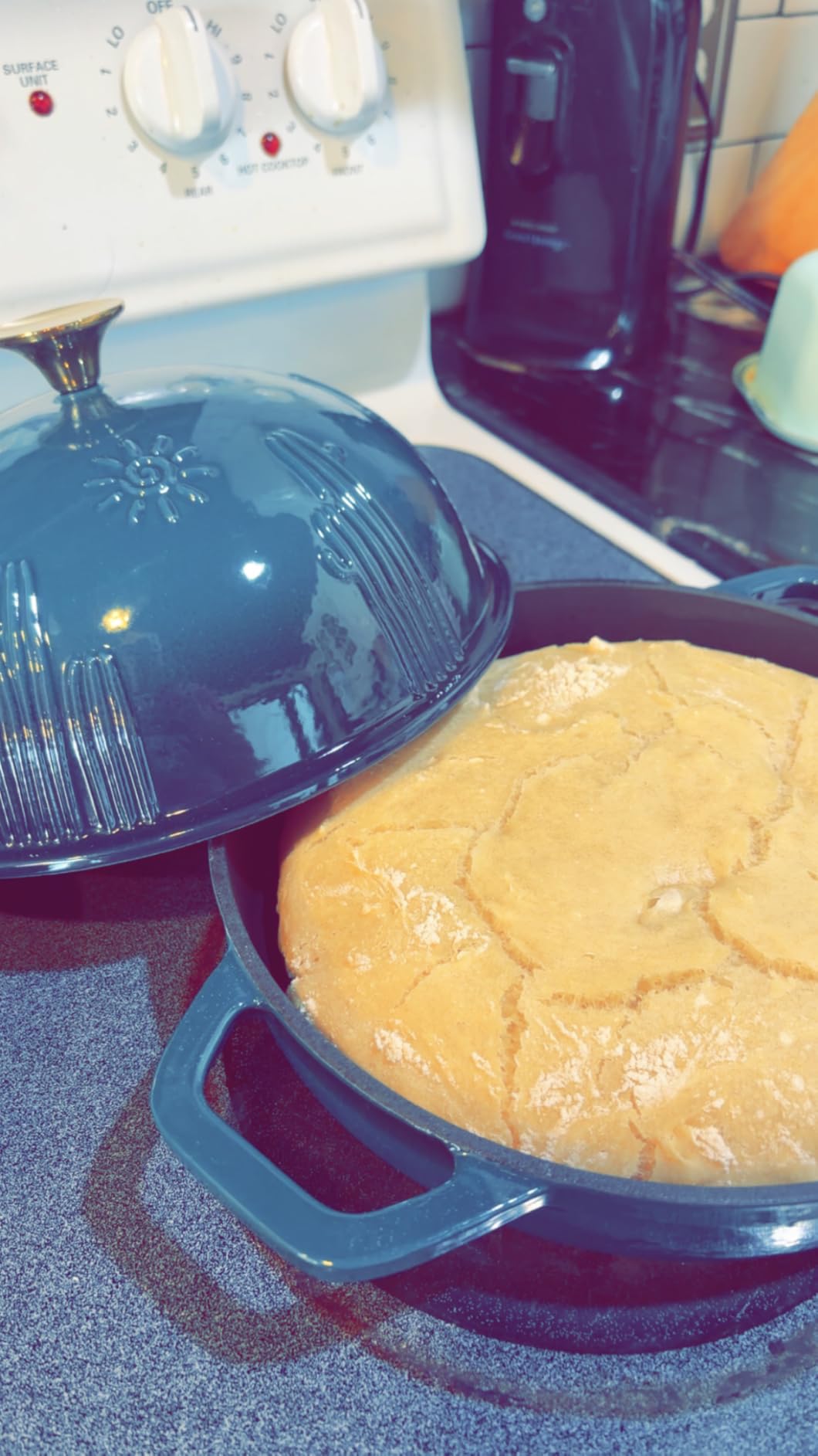 Flavehc Bread Oven Cast Iron Bread Dutch Oven with Cloche Lid for Bread Baking Darkcyan Enameled Cast Iron Bread Oven with Dome Lid for Sourdough, 9.8 Inches customer photo 2