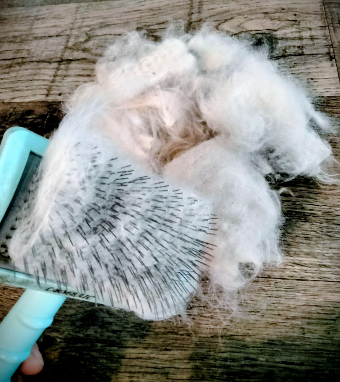 Slicker Brush for Poodles,Goldendoodles Brush,Best Fluff Shedding. customer photo 2