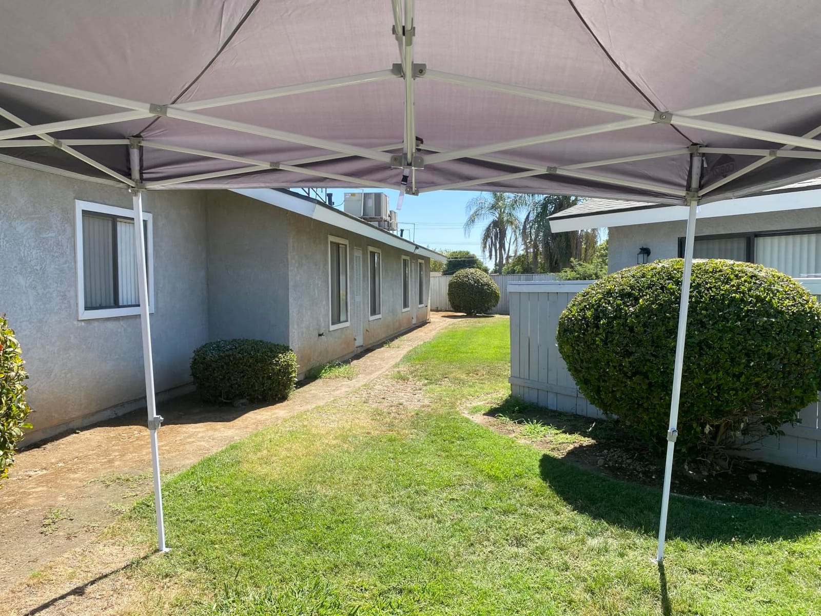 COBIZI 10x15 Heavy Duty Pop Up Canopy Tent with Mosquito Netting Sidewalls customer photo 1