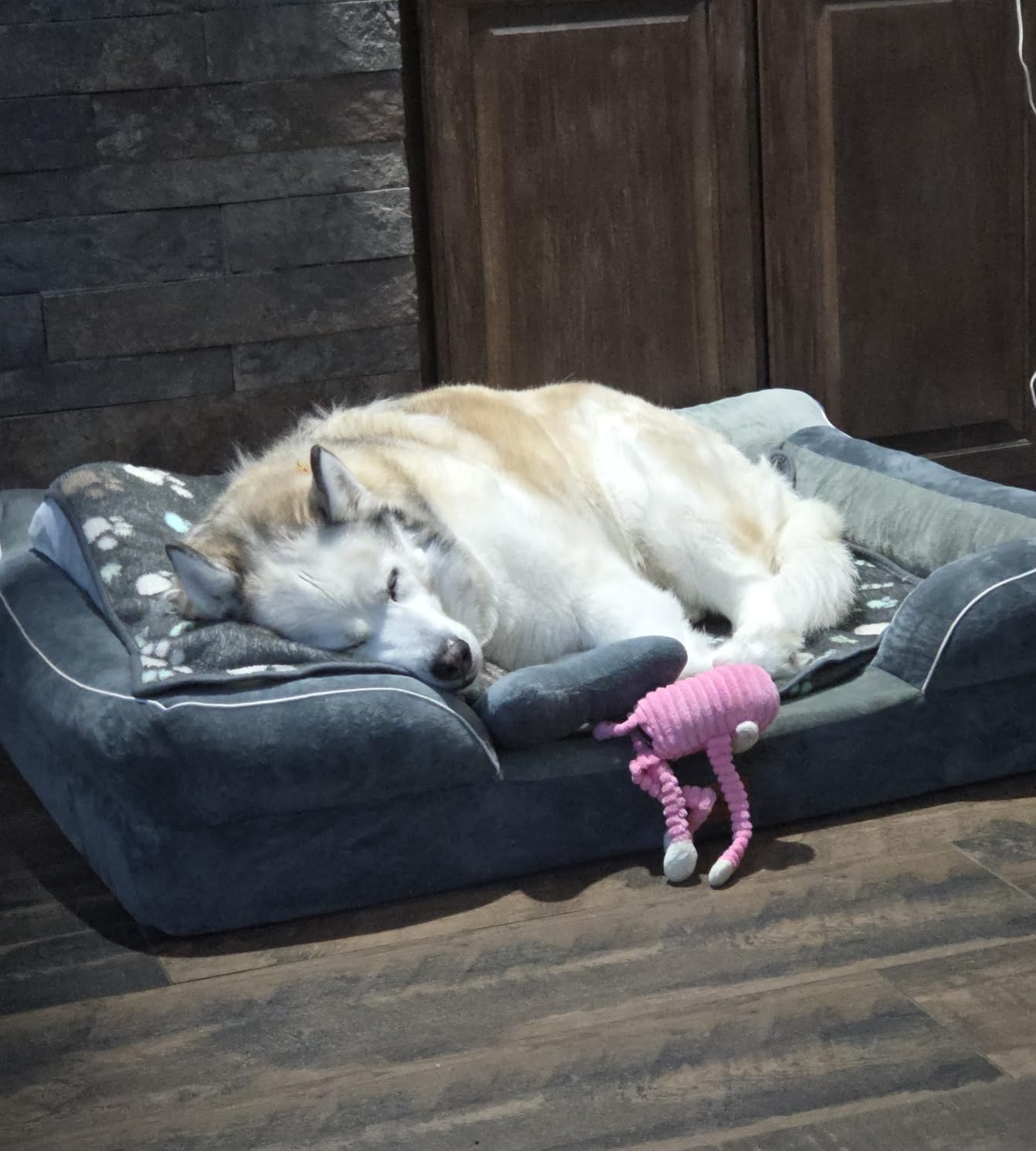 CWAWZ Extra Large Dog Bed, Orthopedic Dog Bed with Cooling Gel Memory Foam, Waterproof XL Pet Bed with Removable Washable Cover, 42