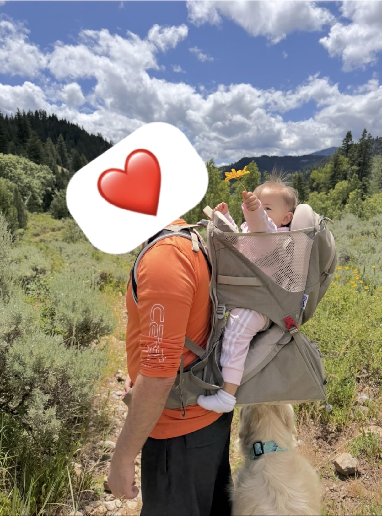 Osprey Poco LT Lightweight Child Carrier Backpack - Compact, Travel-Ready Kid Carrier with Sunshade and Adjustable Fit - Lightweight, Comfortable Hiking Carrier for Toddlers customer photo 2