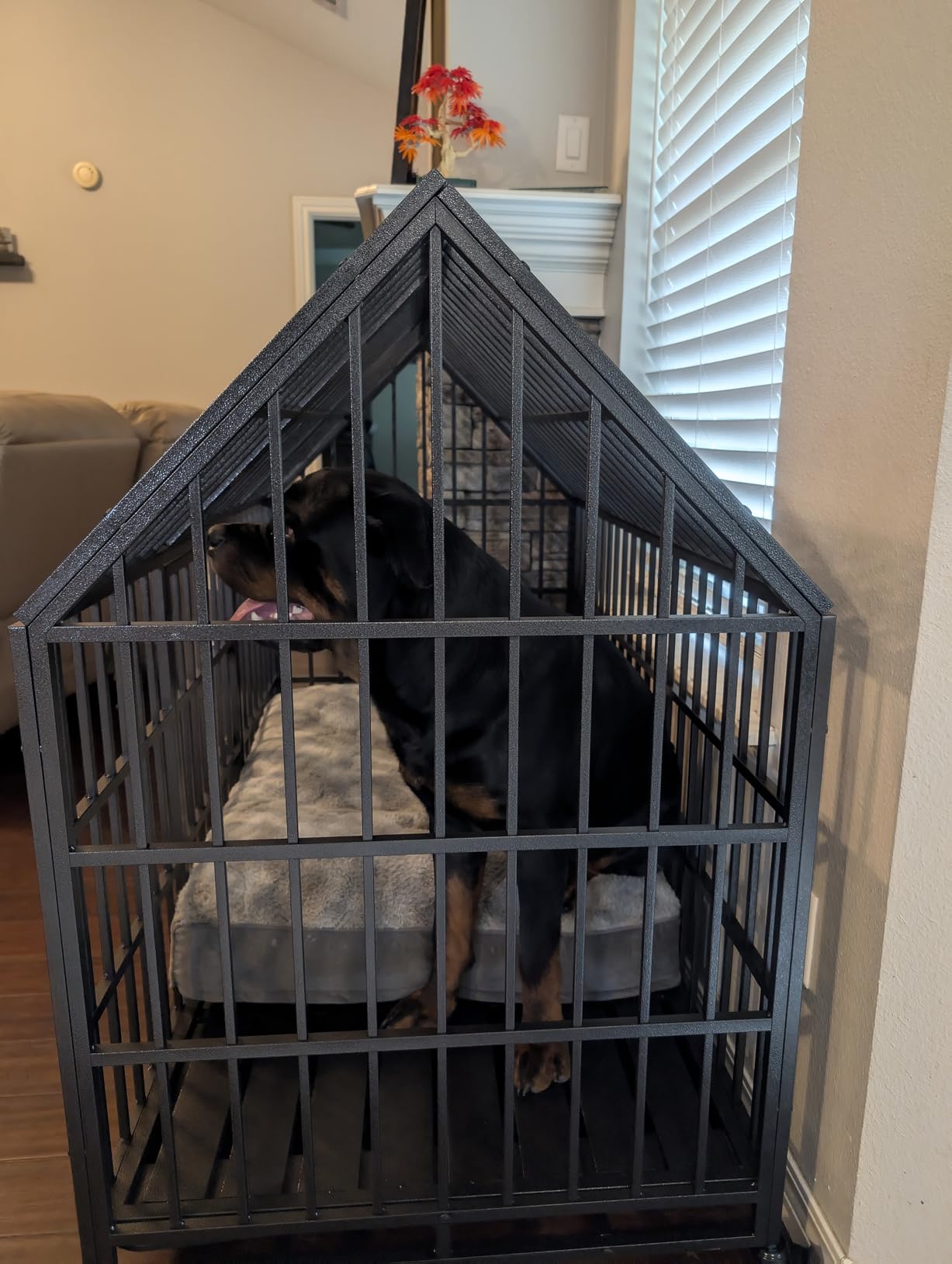 Heavy Duty Dog Crate 54 inch with Mat XL Large Pet Dog Cage Crate Kennel with Roof Top 2 Doors Removable Trays, Lockable Wheels Escape-Proof for High Anxiety Dogs (Black, 54 inch) customer photo 2