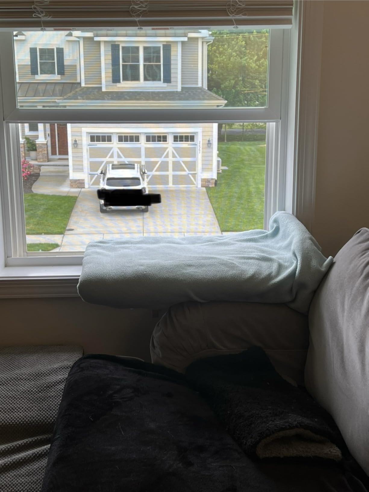 PETSFIT Cat Window Perch, Solid Wood, Fleece Mat, Windowsill Bedside Drawer customer photo 2