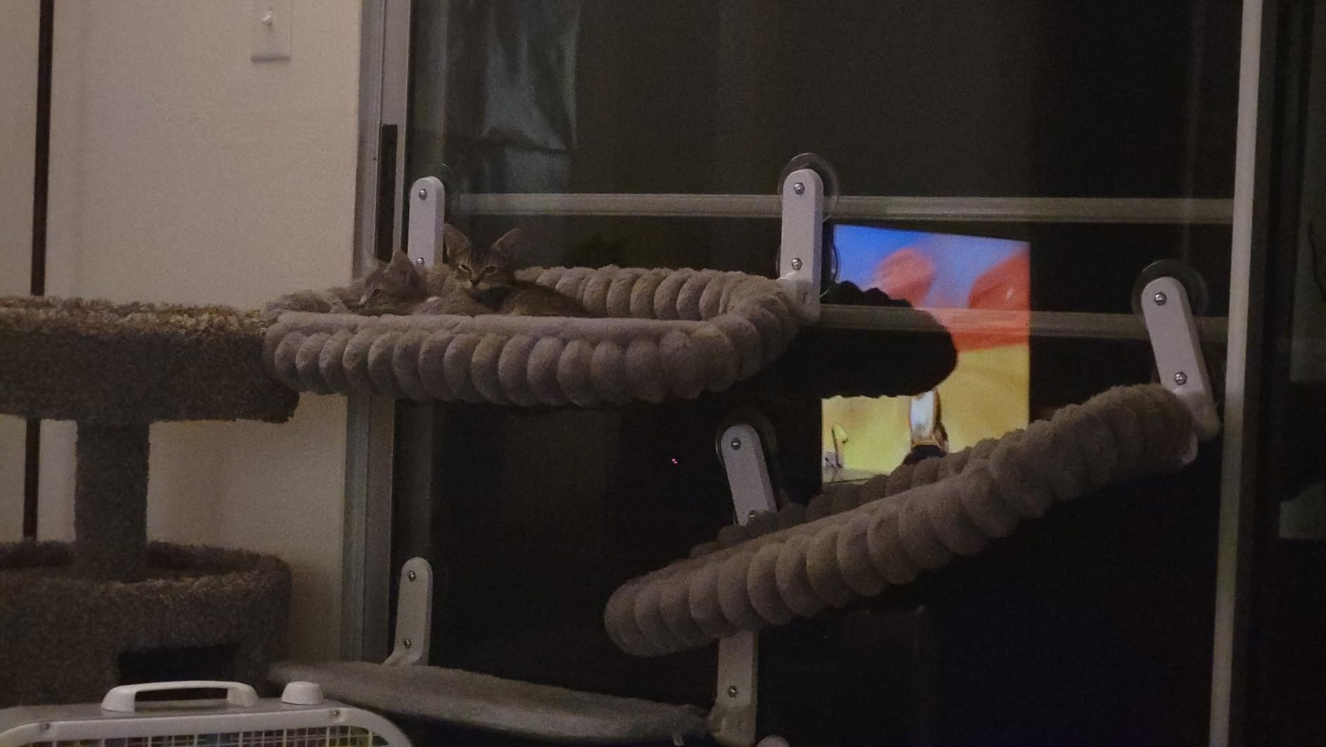 Zoratoo 2PC Cat Window Perch, Foldable & Cordless with Metal Frame, M Gray customer photo 2