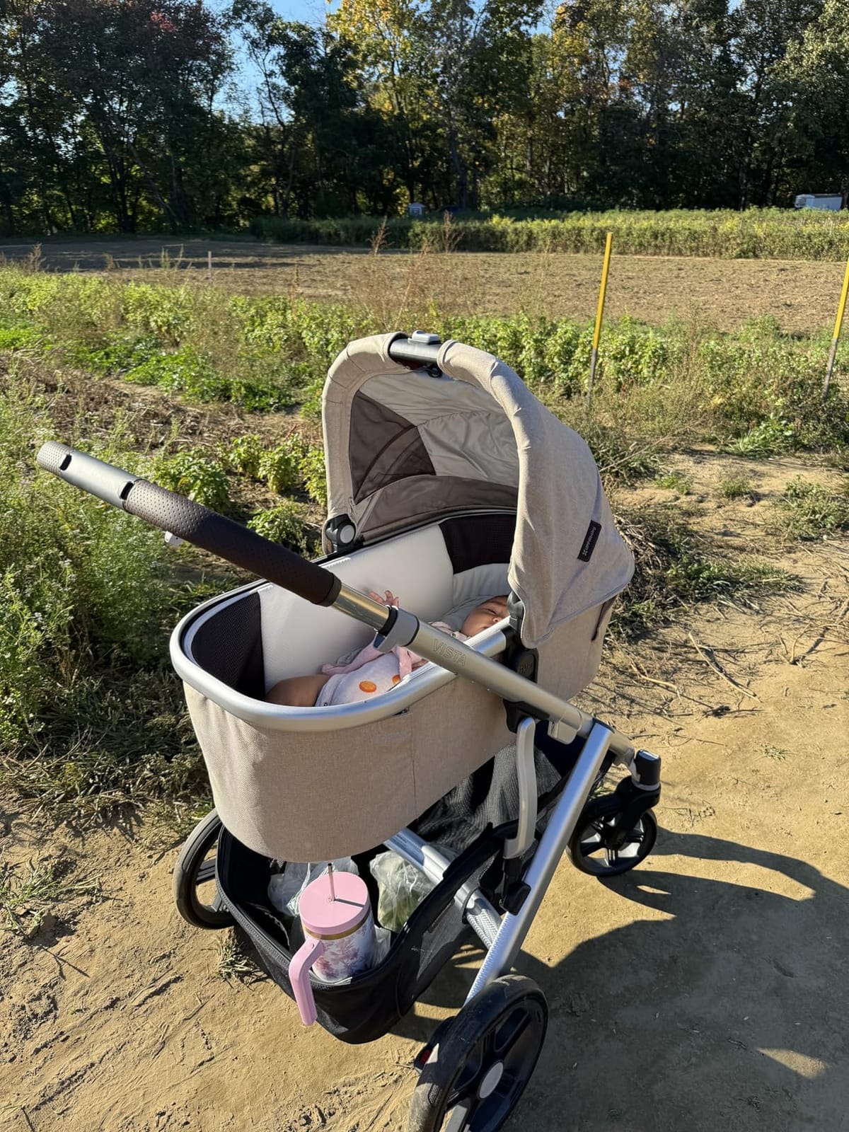 UPPAbaby Vista V3 Convertible Single-to-Double Stroller - Savannah customer photo 1
