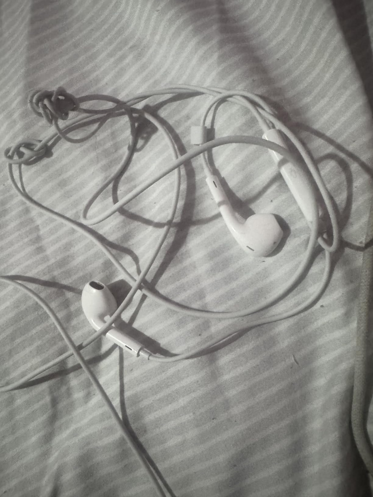 Apple EarPods Headphones with USB-C Plug, Wired Ear Buds with Built-in Remote to Control Music, Phone Calls, and Volume customer photo 1
