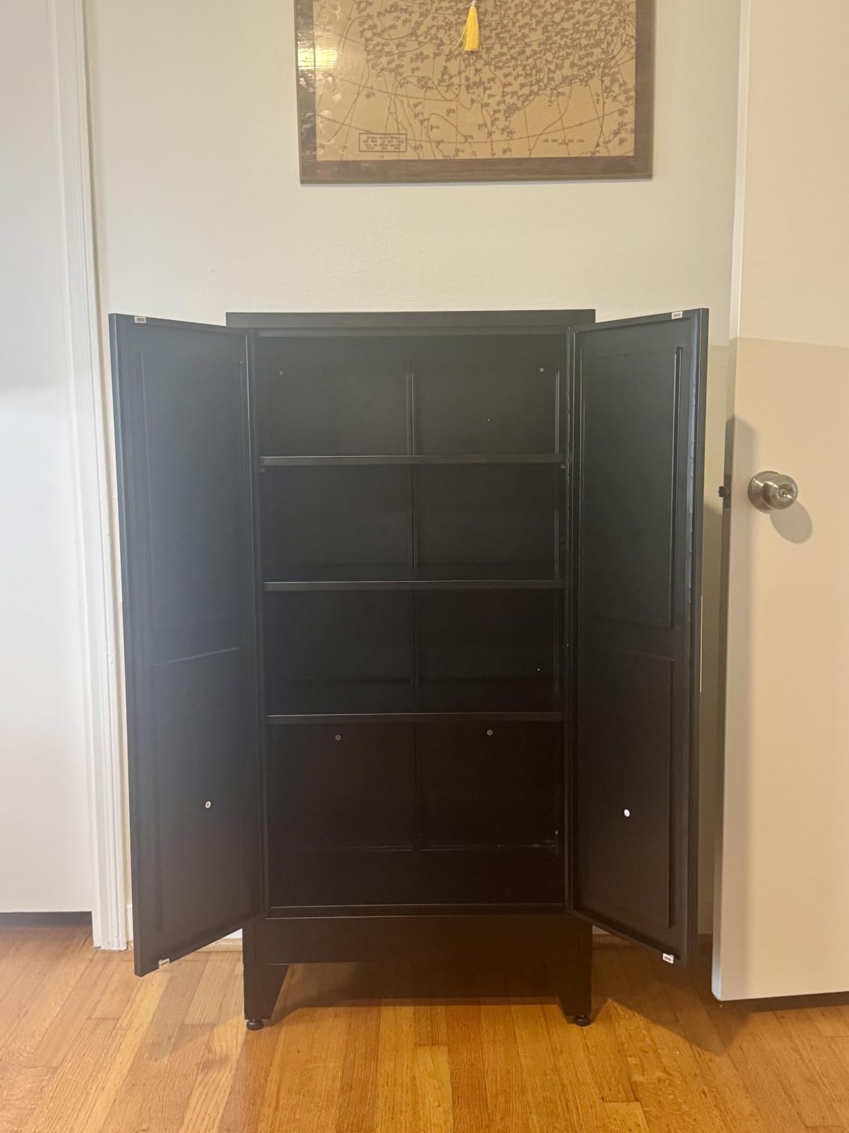 GAIOUS Metal Storage Cabinet, Black Pantry Storage Cabinets with 2 Door customer photo 1