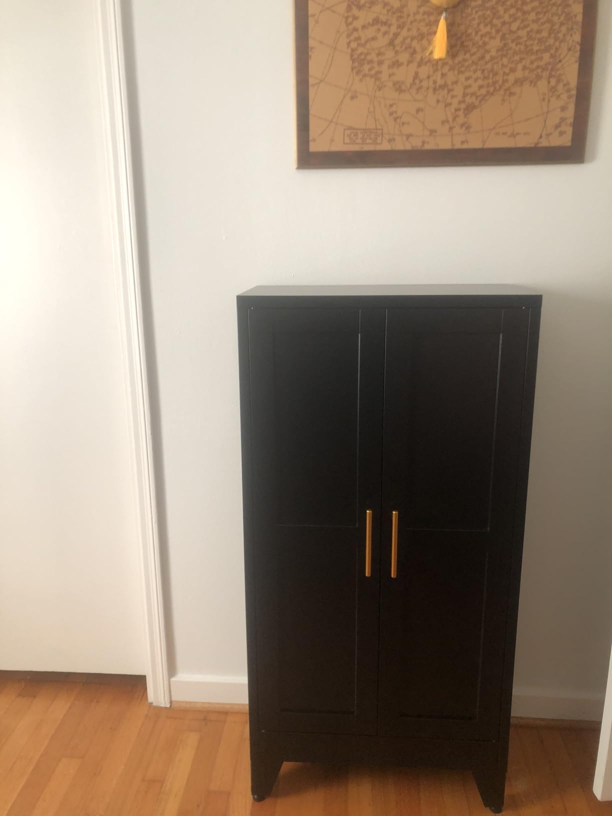 GAIOUS Metal Storage Cabinet, Black Pantry Storage Cabinets with 2 Door customer photo 2
