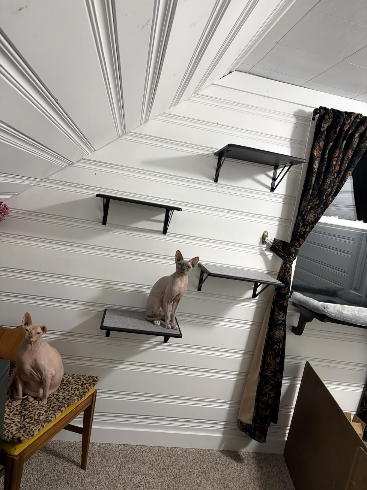 Cat Wall Shelves Set of 4, Purrfect Cat Furniture Set - 4 Piece Wooden Wall Shelves with Scratching Pad, Sleeping & Playing Area, Window Perch for Large Cats - Black customer photo 2