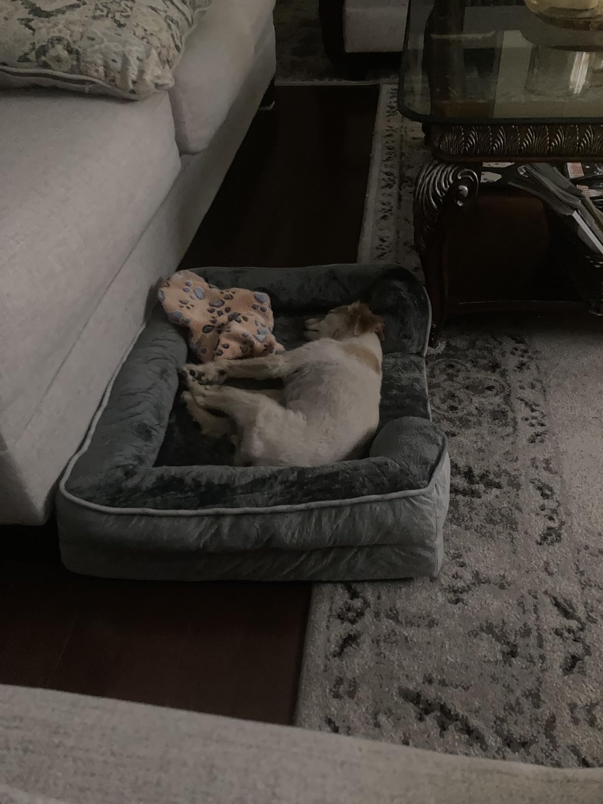 Spotted Play Orthopedic Dog Bed with Sides - Dog Sofa Beds for Extra Large Dogs, Supportive Foam Pet Couch Bed with Washable Removable Cover, Waterproof Lining and Non-Slip Bottom, Grey - XXL customer photo 1