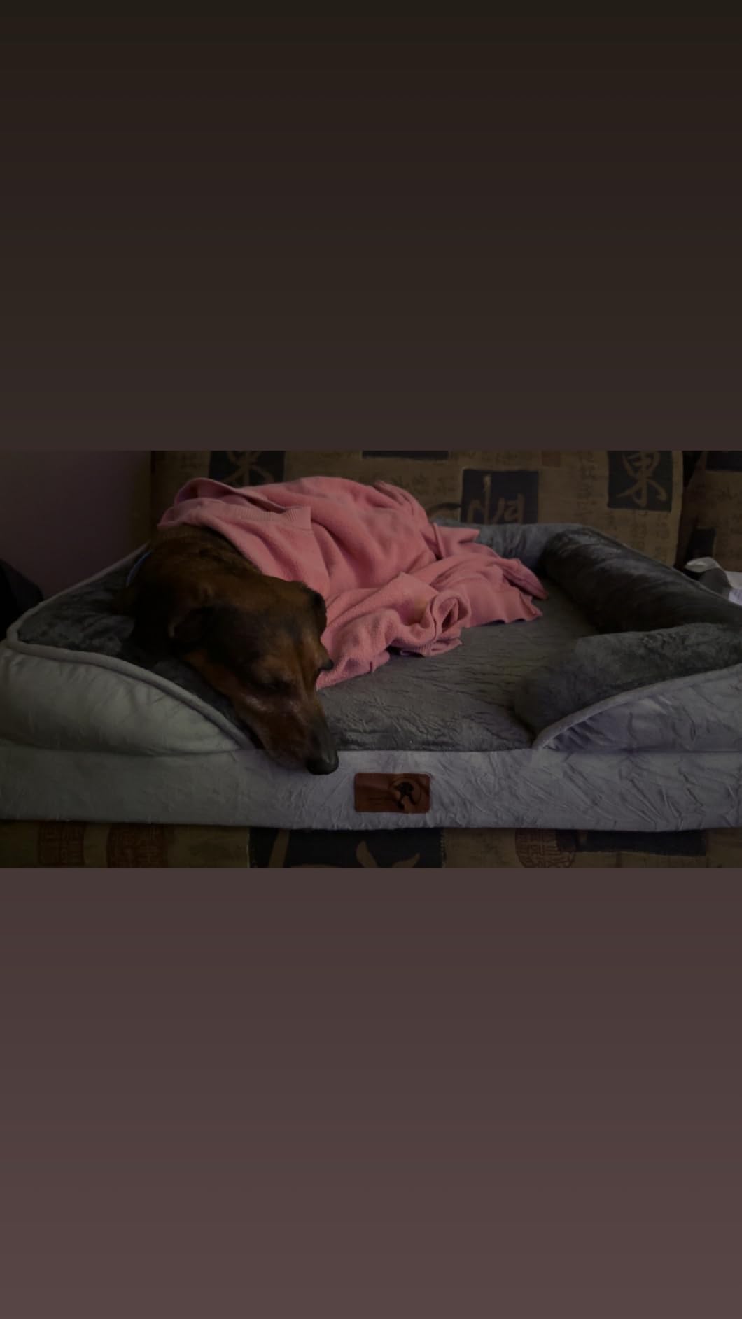 Spotted Play Orthopedic Dog Bed with Sides - Dog Sofa Beds for Medium Dogs, Supportive Foam Pet Couch Bed with Washable Removable Cover, Waterproof Lining and Non-Slip Bottom, Grey - M customer photo 1