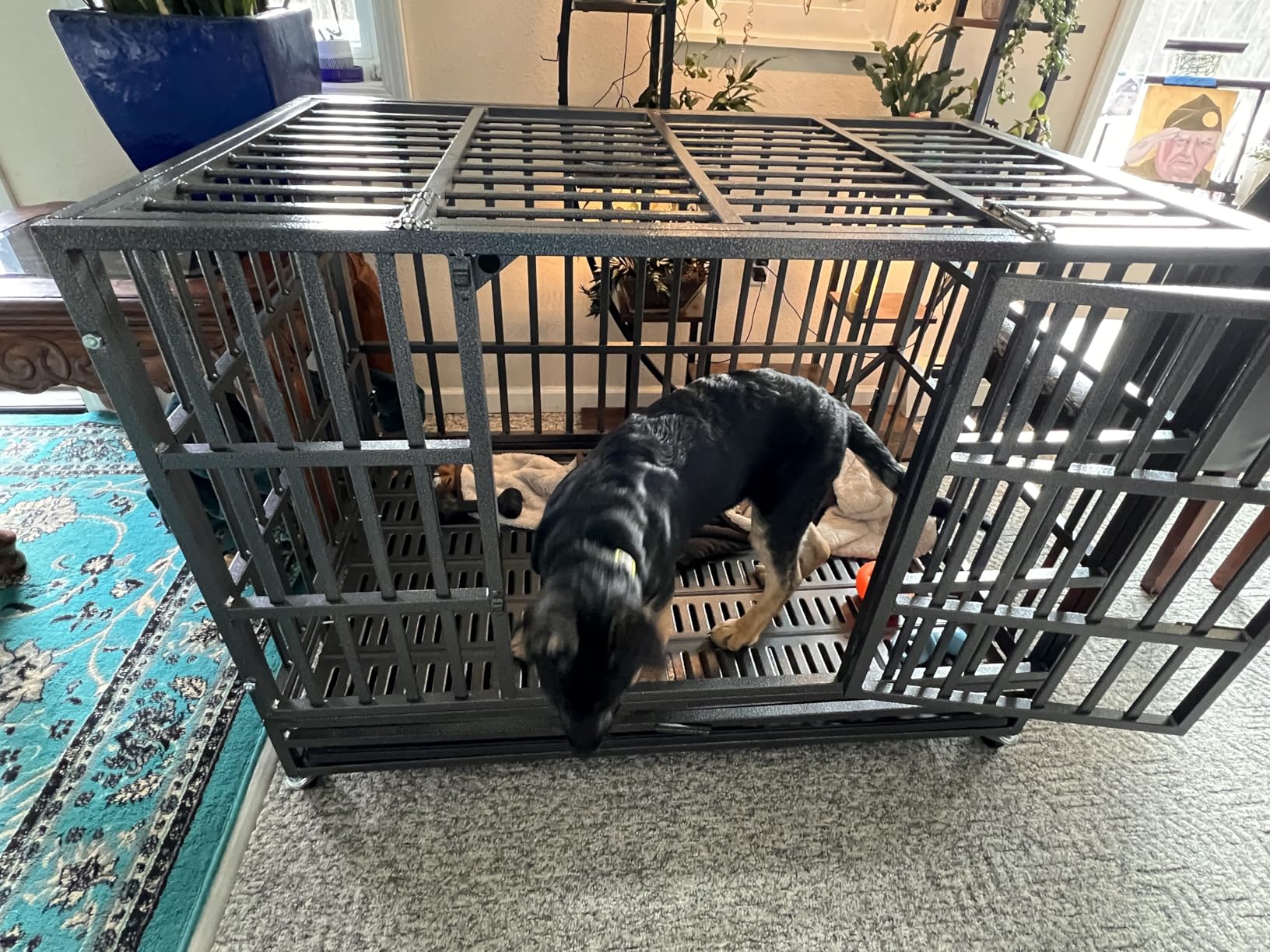 Oranland 38 Inch Heavy Duty Dog Crate,Upgraded Reinforced Baseplate customer photo 1