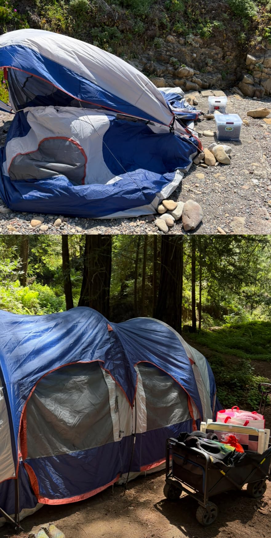CAMPROS CP 12 Person Camping Tent, 3-Room Family Tent, Rainfly, Waterproof customer photo 2