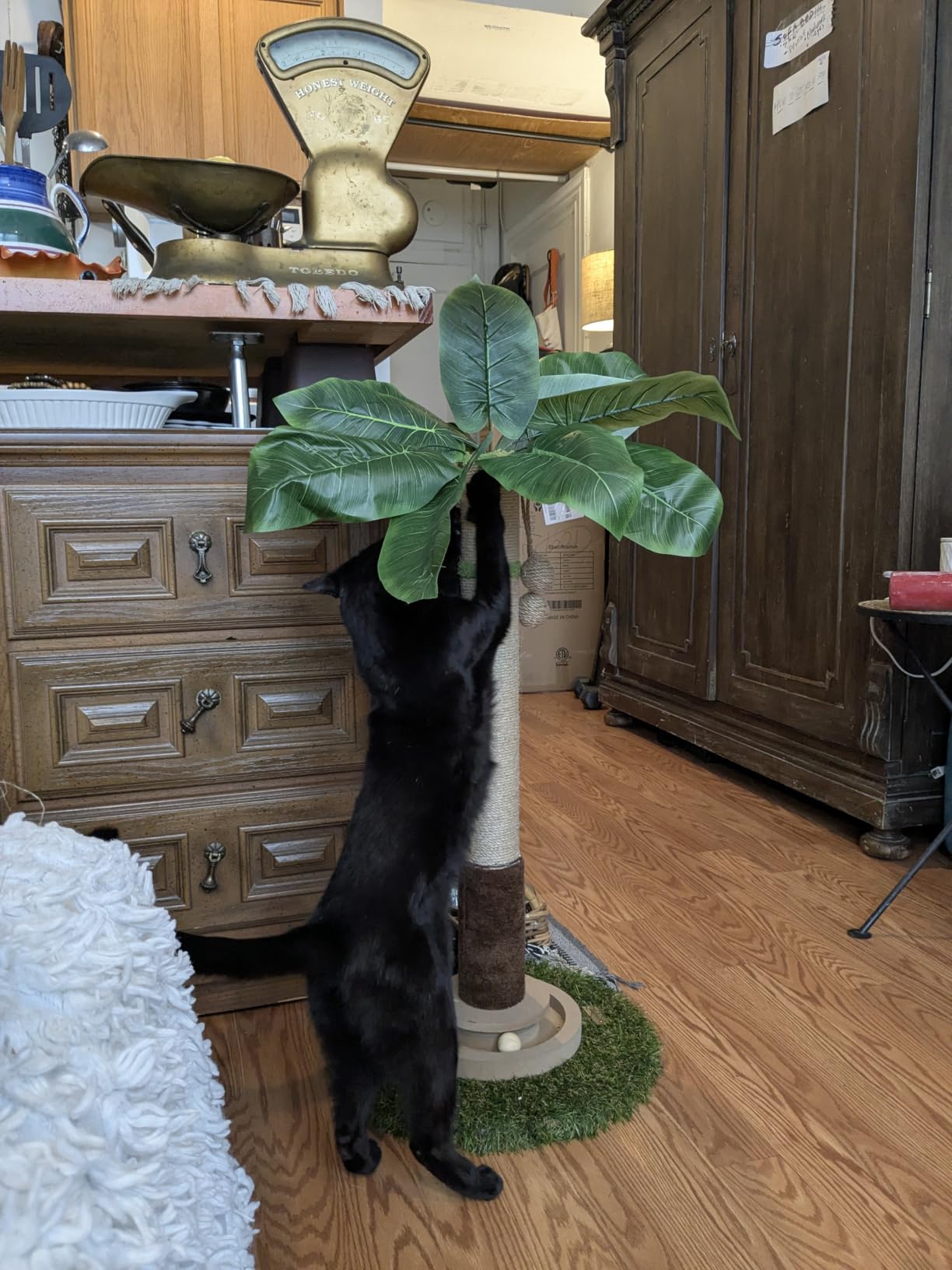 Woochpet Tall Cat Scratching Post,Cat Toys,Cat Scratcher Tree for Large Cat customer photo 1