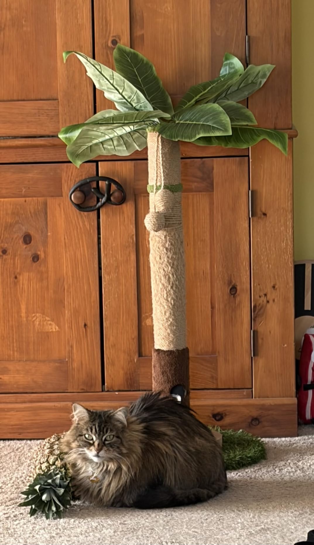 Woochpet Tall Cat Scratching Post,Cat Toys,Cat Scratcher Tree for Large Cat customer photo 2