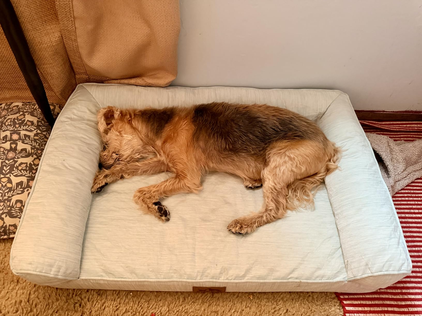 COZY KISS Cooling Dog Bed for Extra Large Dogs, 48