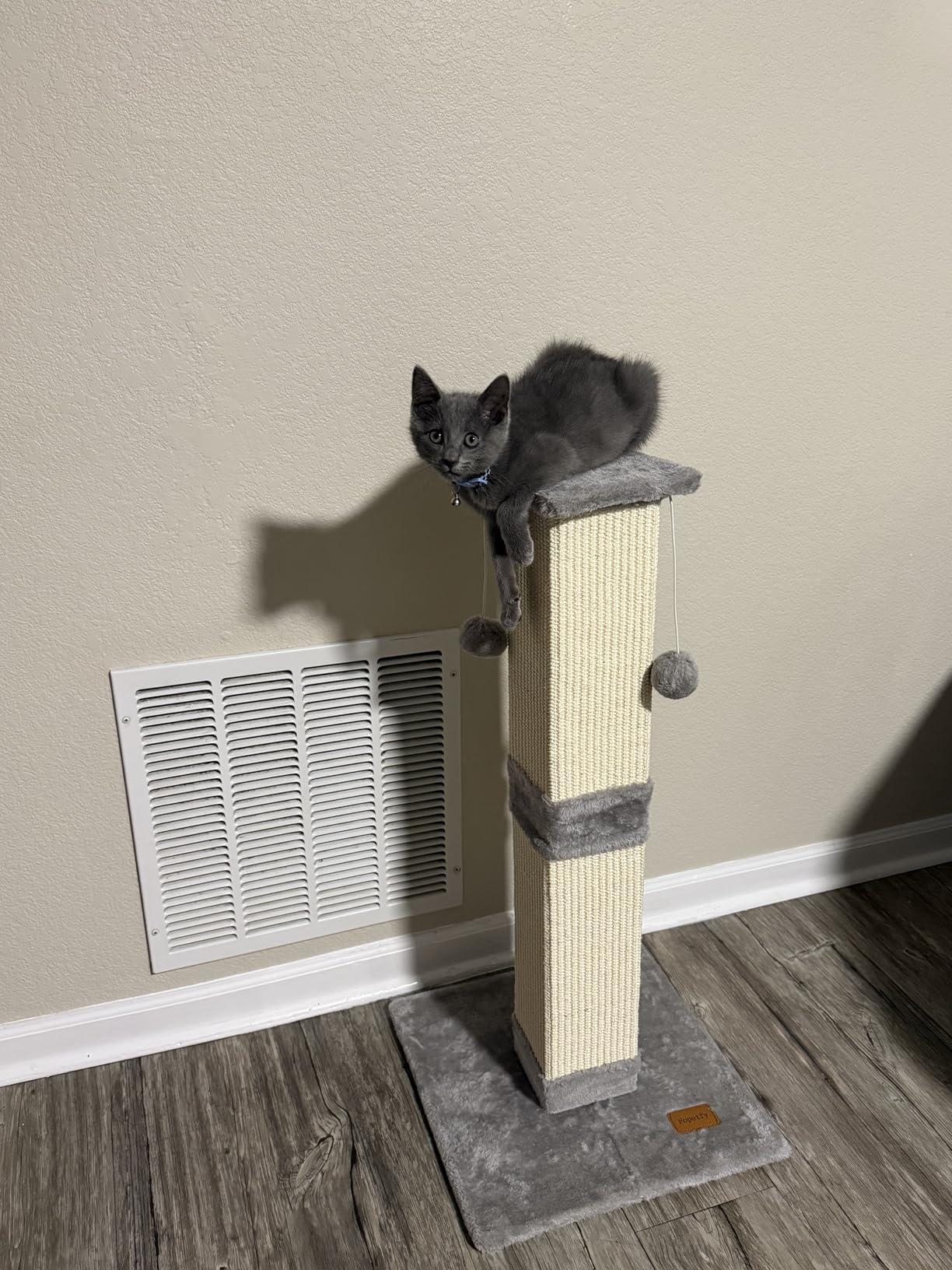Cat Scratching Post 33 Inch for Indoor Cats, Tall Cat Scratcher with 100% Natural Sisal, Large Stable Base & 5 Inch Wide Post, Cat Scratch Post for Large Cats, Full-Body Stretching, Grey customer photo 2