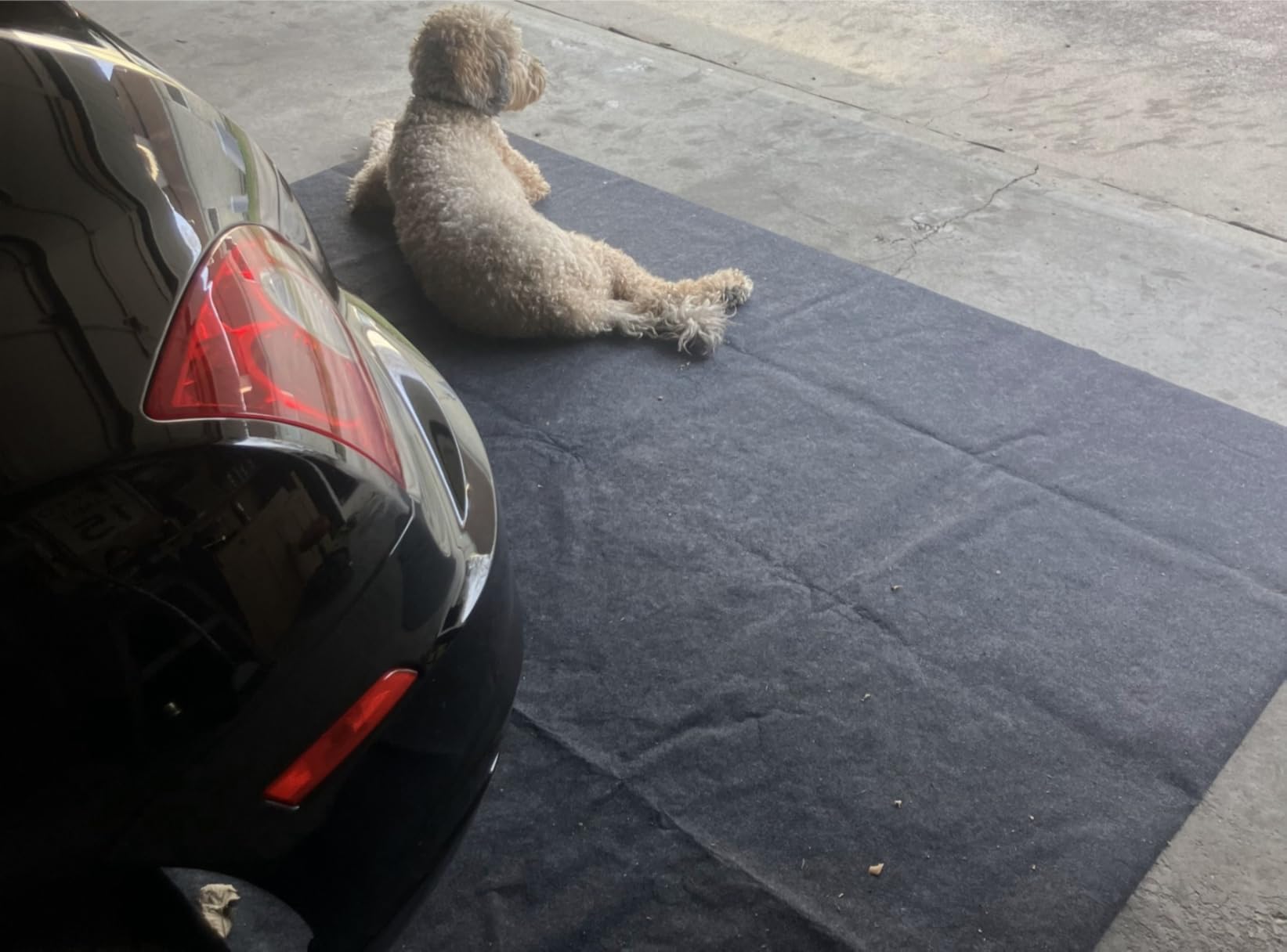 Garage Mats Oversize Garage Floor Paking Mat for Under Car, 7.4 x 8.4 Ft Non-Slip Gray Garage Flooring Carpets, Absorbent Oil Garage Parking Mat, Waterproof Mats customer photo 1