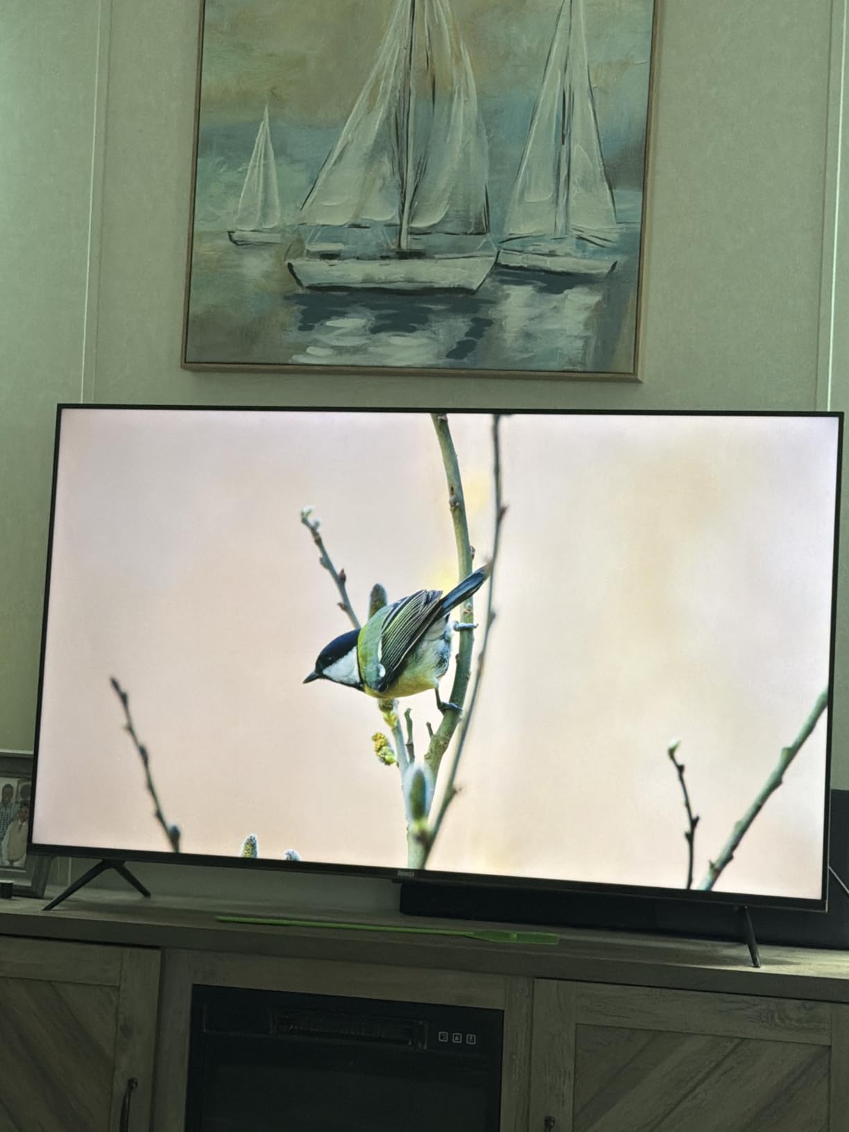 Roku 65-Inch Plus Series Smart TV - 4K QLED Mini-LED TV - RokuTV customer photo 1