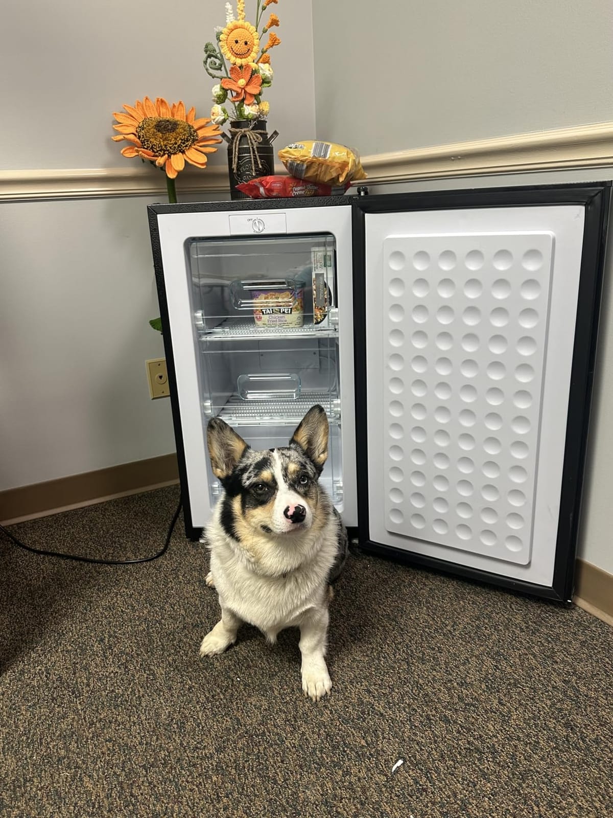 BODACIOUS 3.2 Cu.Ft Mini Freezer - Compact Upright Small Freezer - Silver customer photo 2