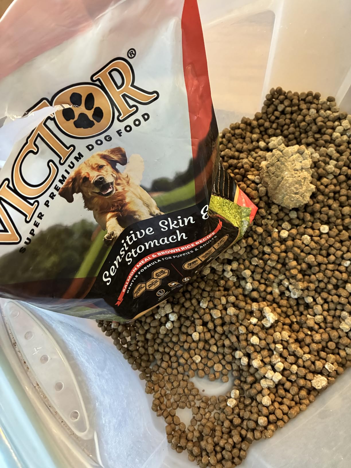 VICTOR Sensitive Skin & Stomach - Salmon Meal & Brown Rice Dog Food, 5 lb customer photo 2