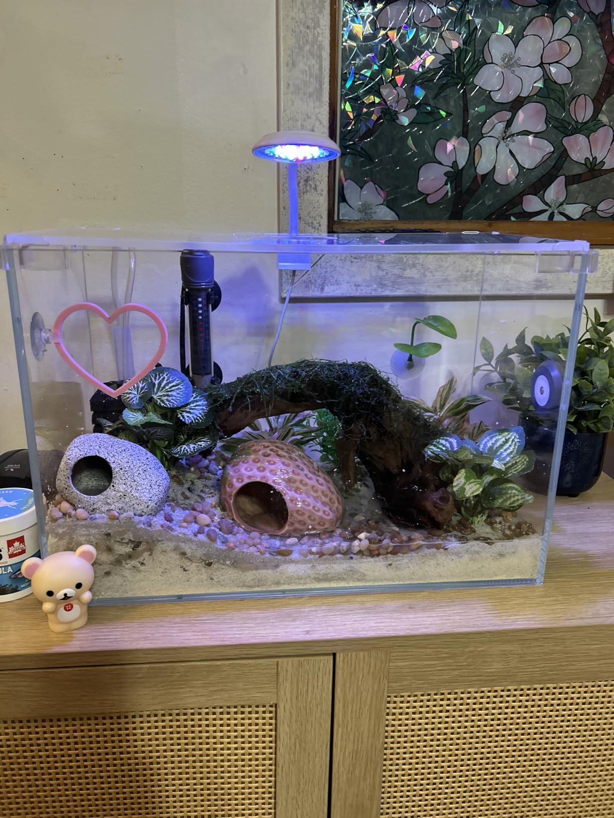 Vimvins 5 Gallon Glass Small Fish Tank with Filter Light and Lid, Betta Aquarium Starter Kits customer photo 1