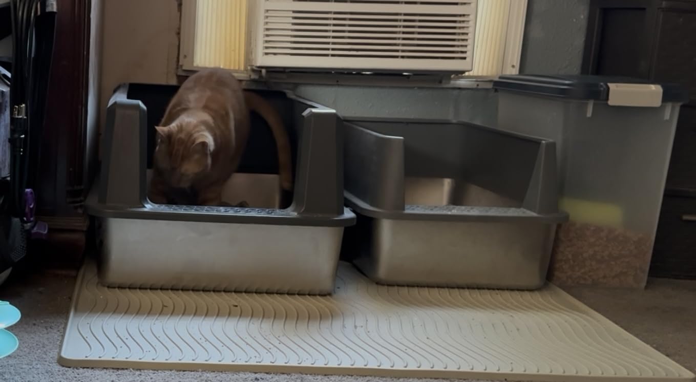 XXL Stainless Steel Litter Box with Lid for Multiple & Big Cats customer photo 1
