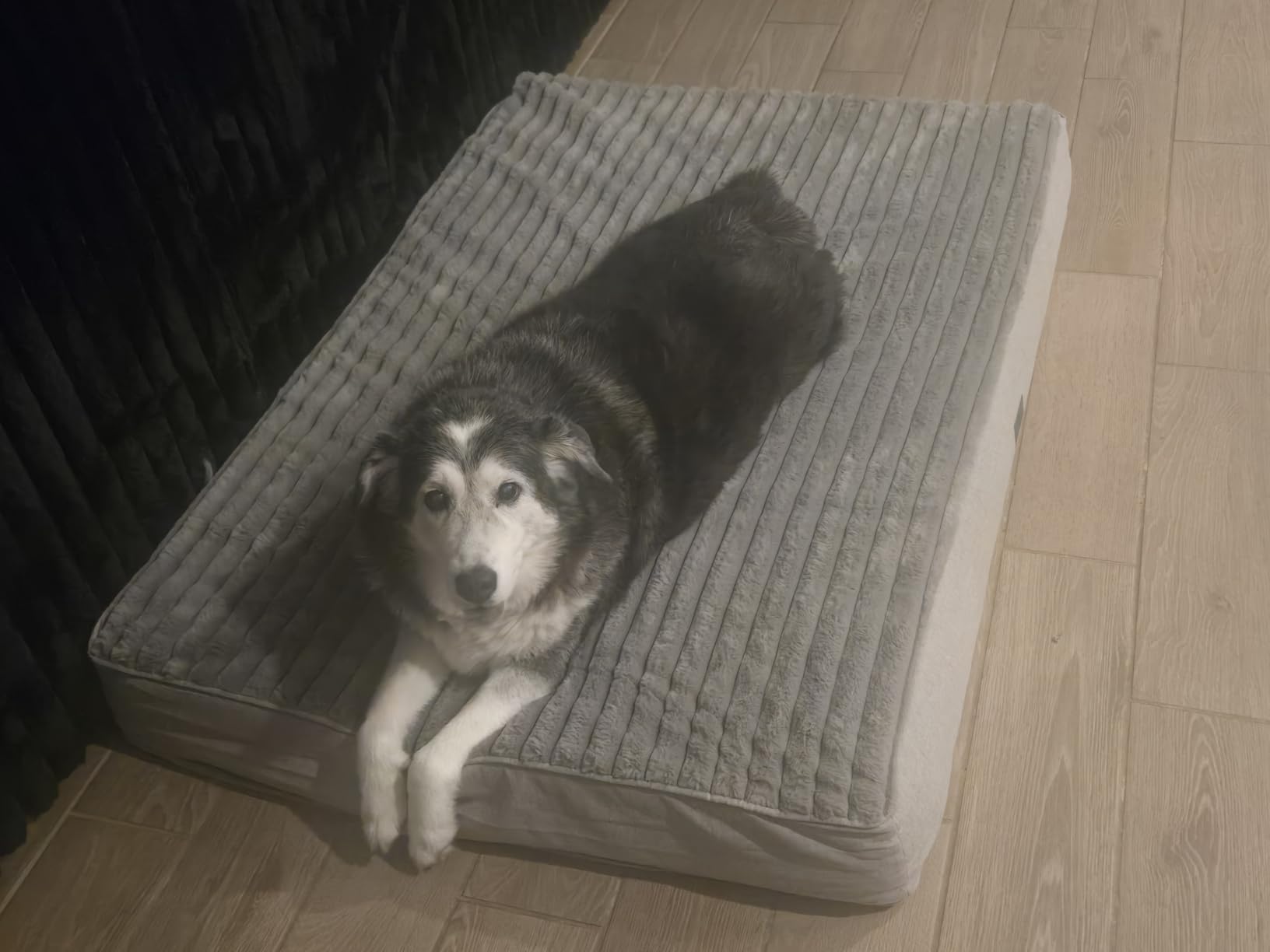 Veehoo Orthopedic Memory Foam Dog Bed for Senior Dogs, 7