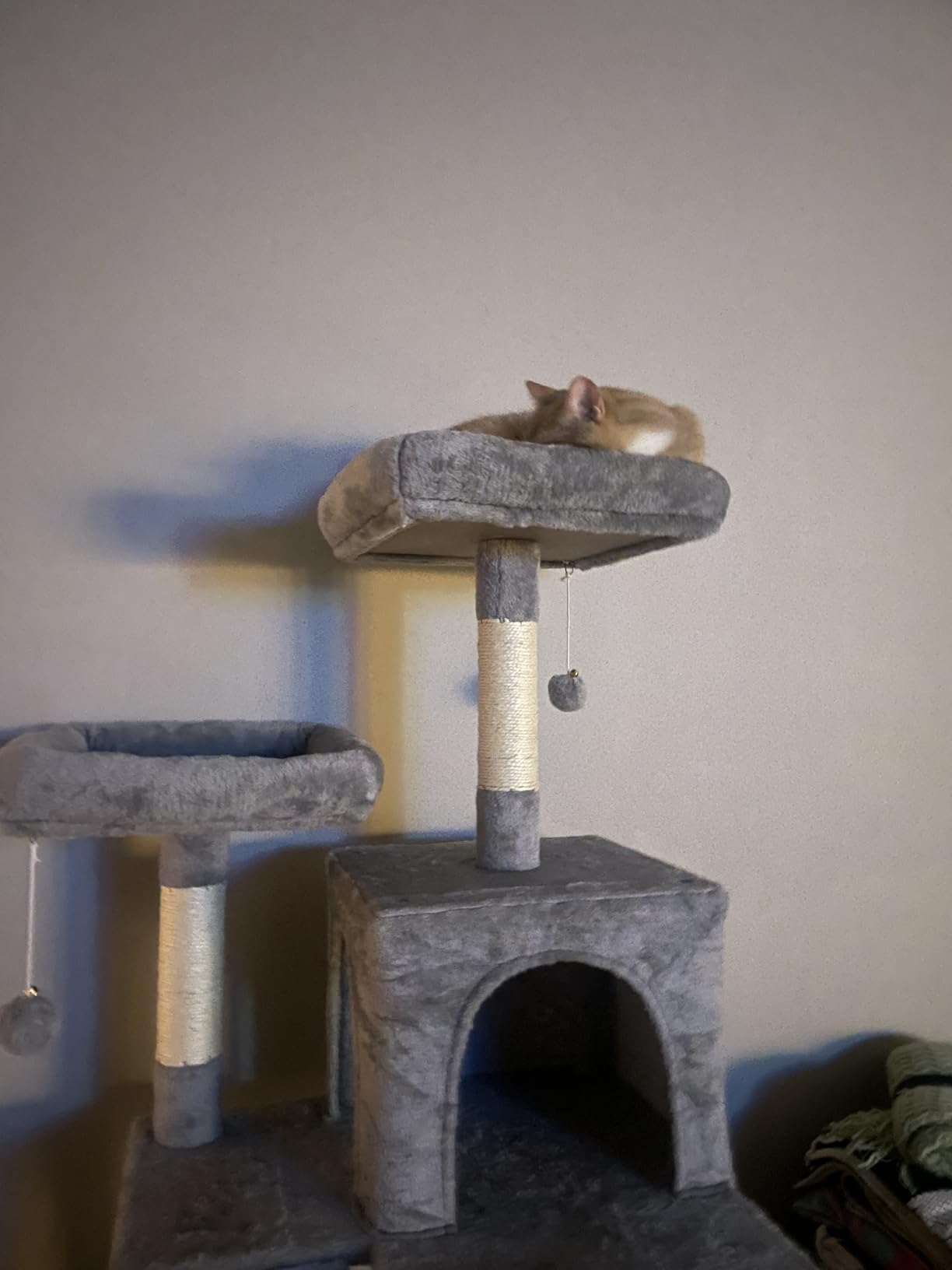 Gitelsnour Cat Tree, 71'' Tower for Large Cat with Scratching Post, GCT032G customer photo 1
