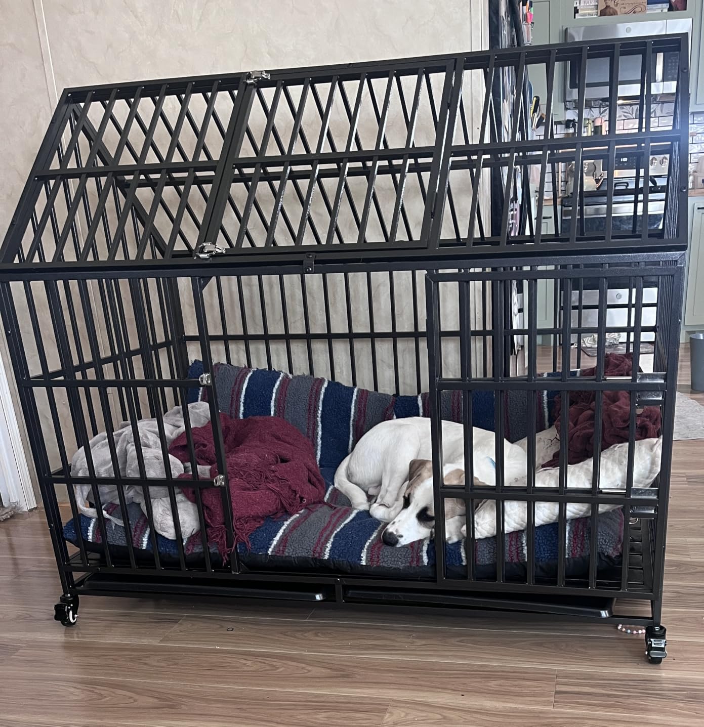 54 Inch Heavy Duty Dog Crate Extra Large Dog Cage Kennel, Indestructible XXL Dog Crate with Open Roof Top, Trays and Wheels, Escape-Proof for High Anxiety Giant Dogs customer photo 1