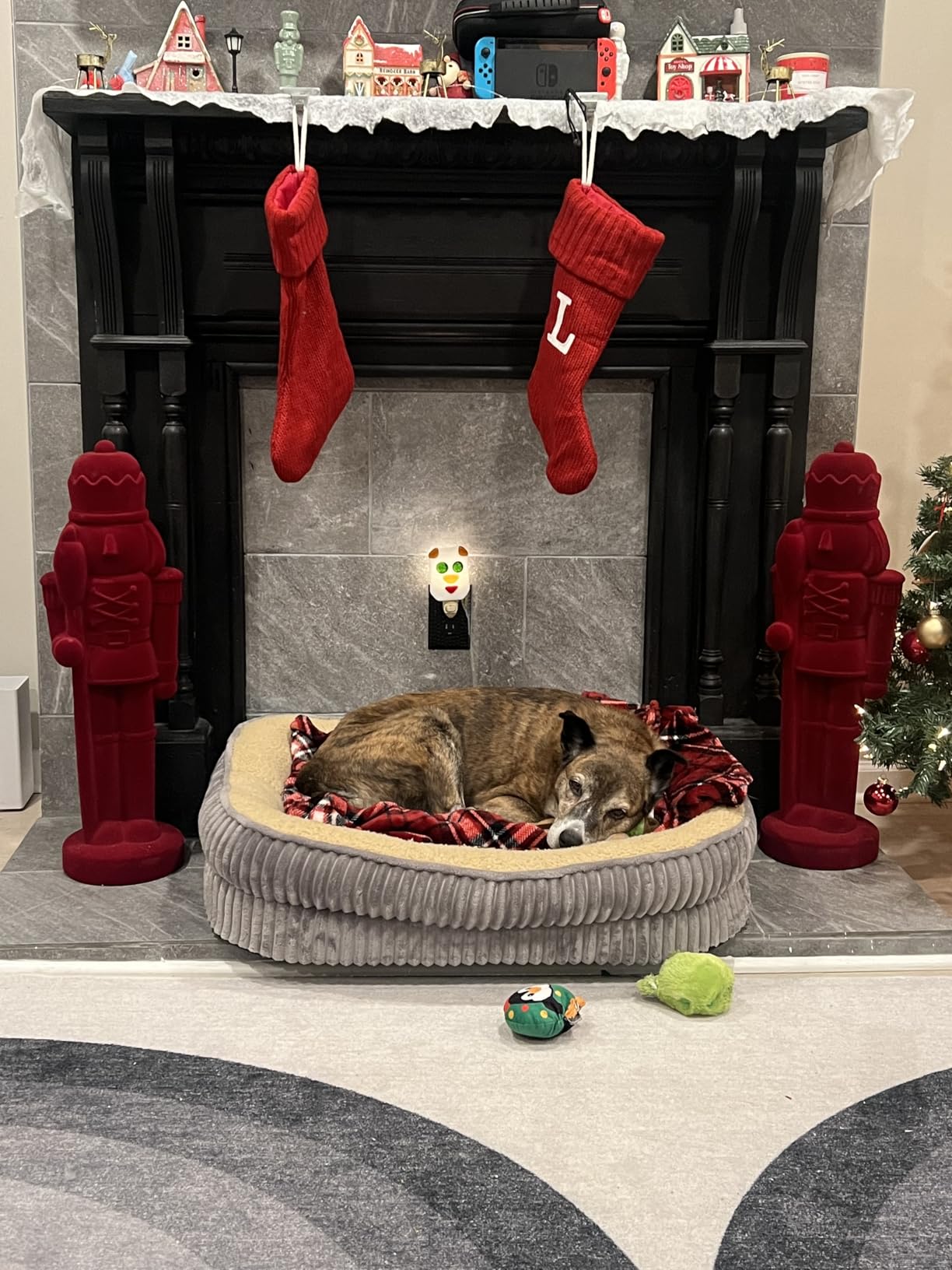 Orthopedic Dog Bed for Small Dogs Breeds, High Density Egg Crate Foam Dog Sofa Beds,Oval Kennel Bed, Pet Couch Bed with Four Sided Bolster, Removable Washable Cover& Non-Slip Bottom customer photo 1